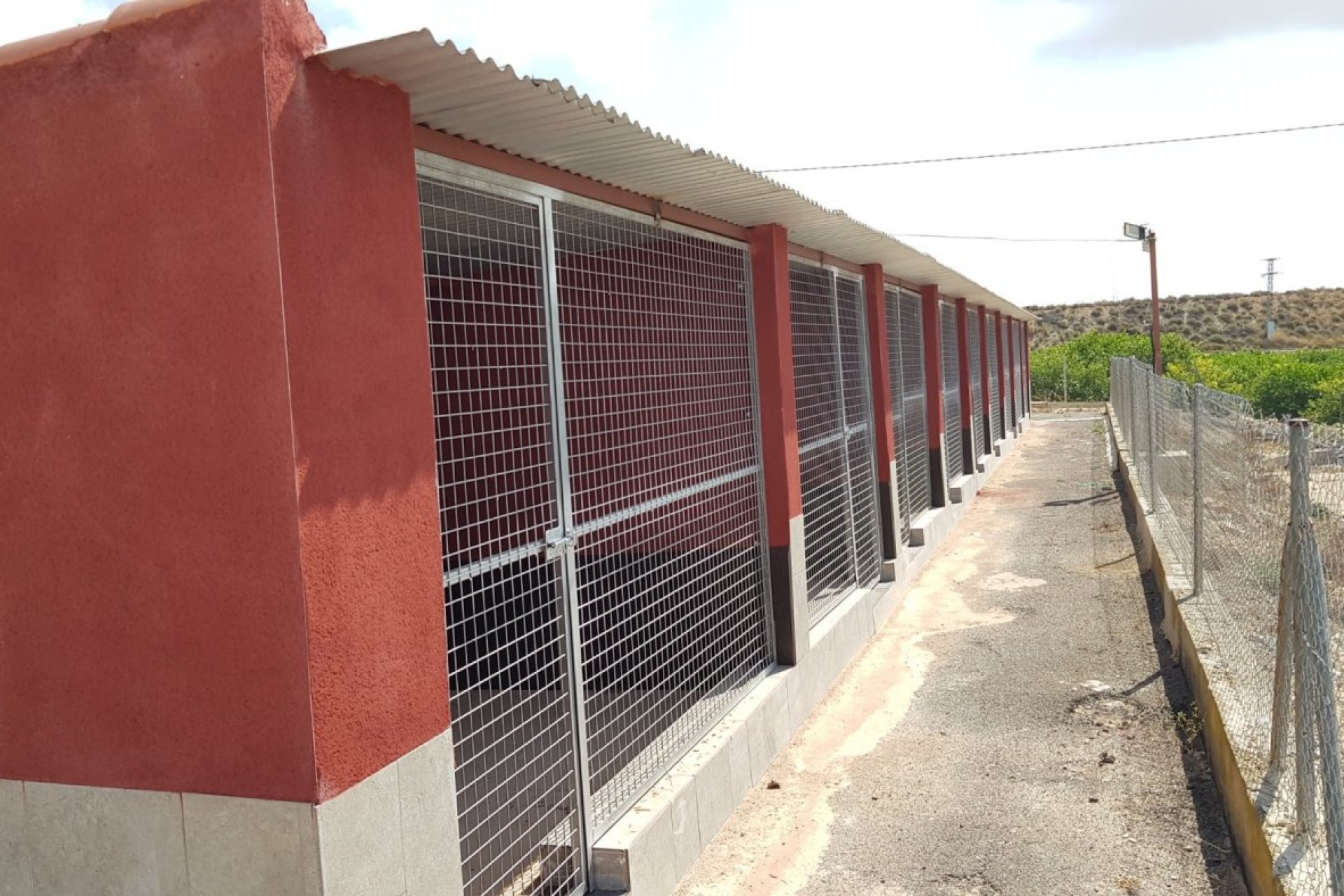 Resale - Finca rústica - Los Montesinos - LOS MONTESINOS