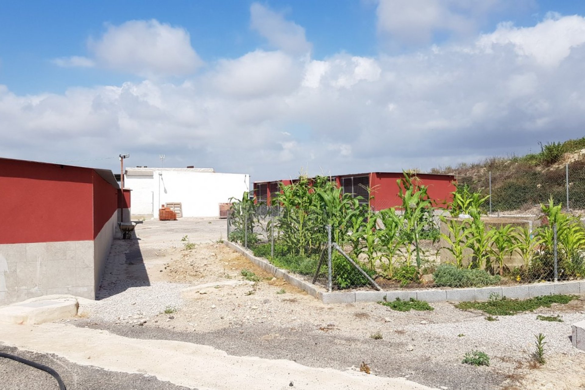 Resale - Finca rústica - Los Montesinos - LOS MONTESINOS