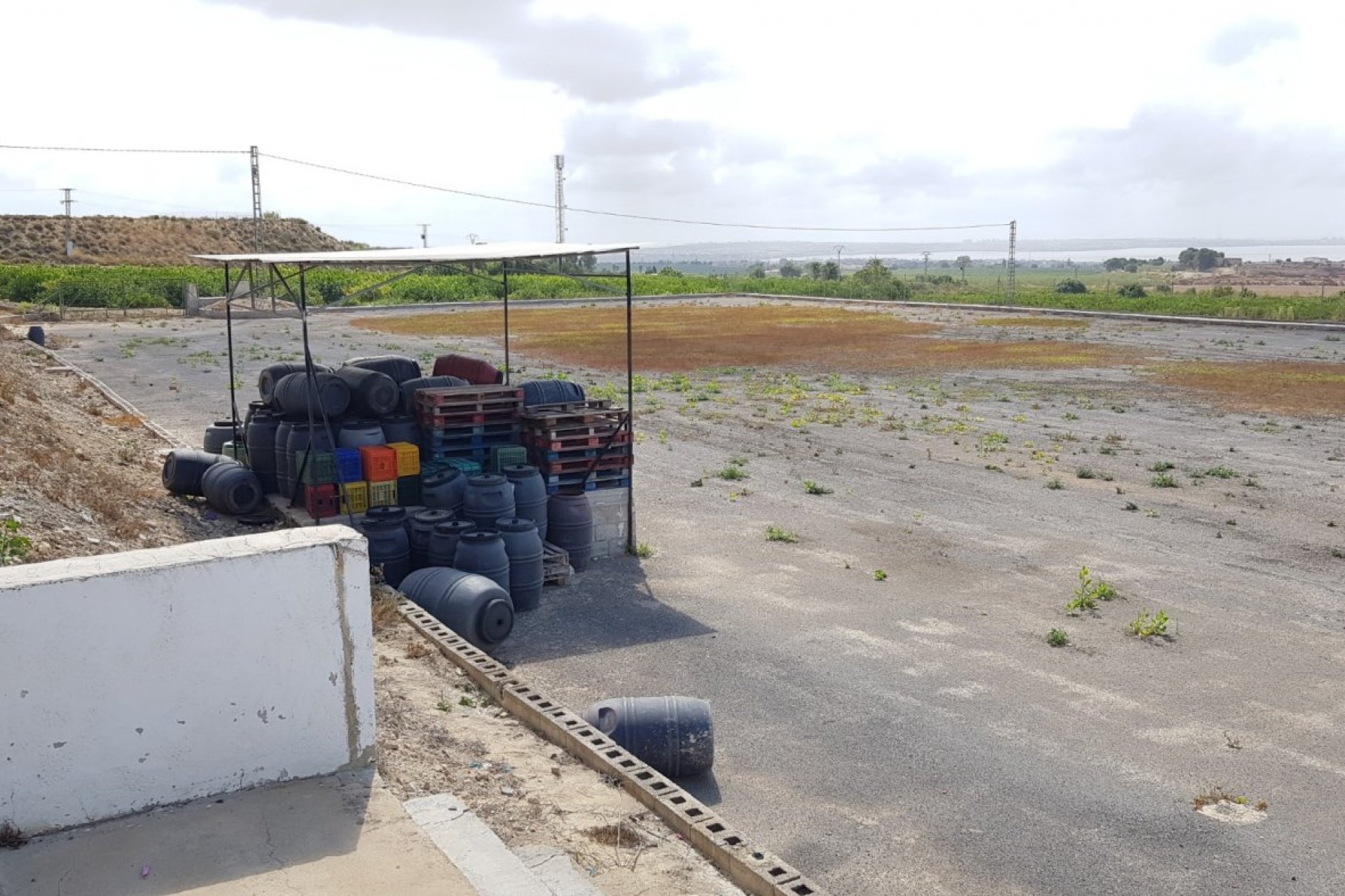 Resale - Finca rústica - Los Montesinos - LOS MONTESINOS