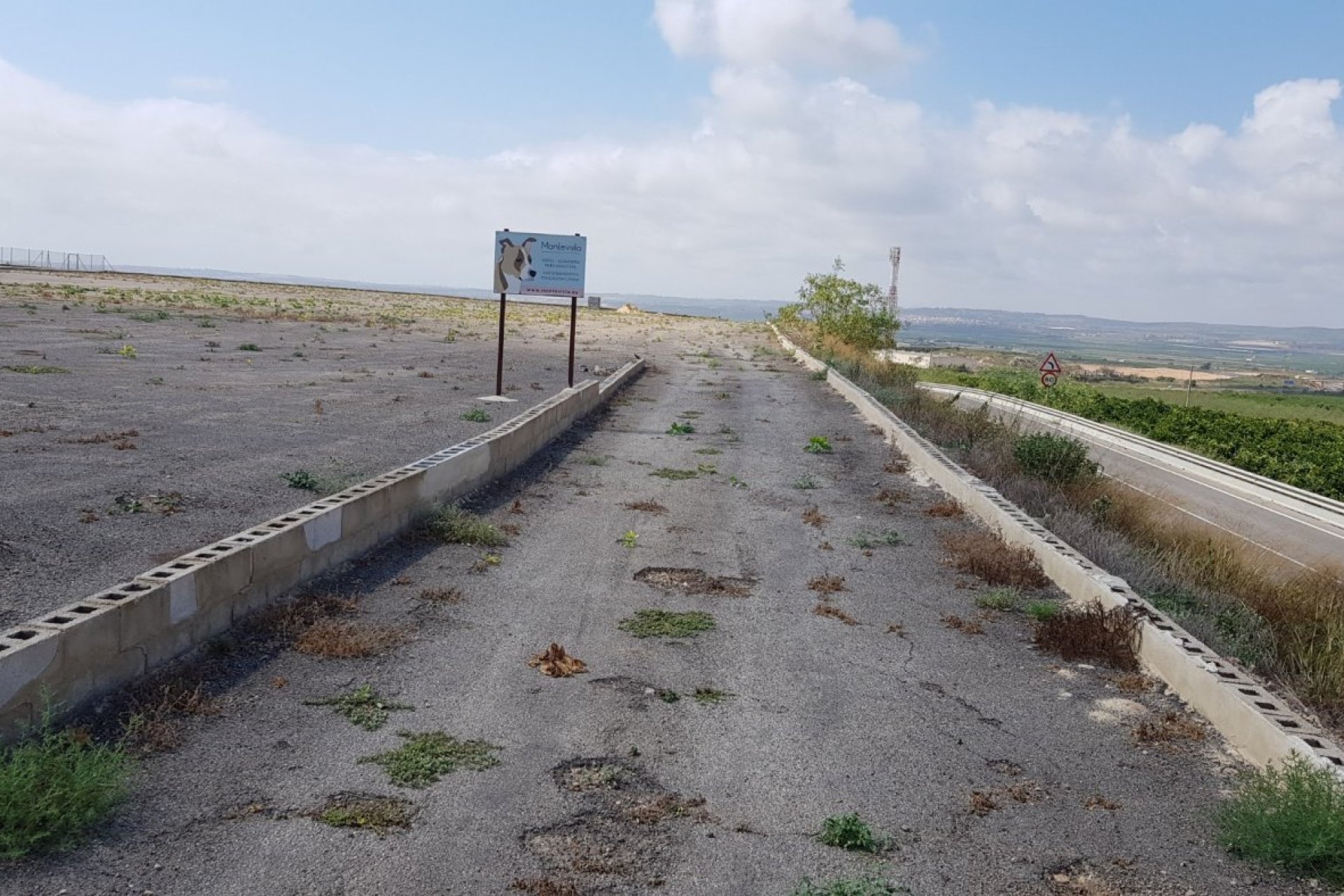 Resale - Finca rústica - Los Montesinos - LOS MONTESINOS