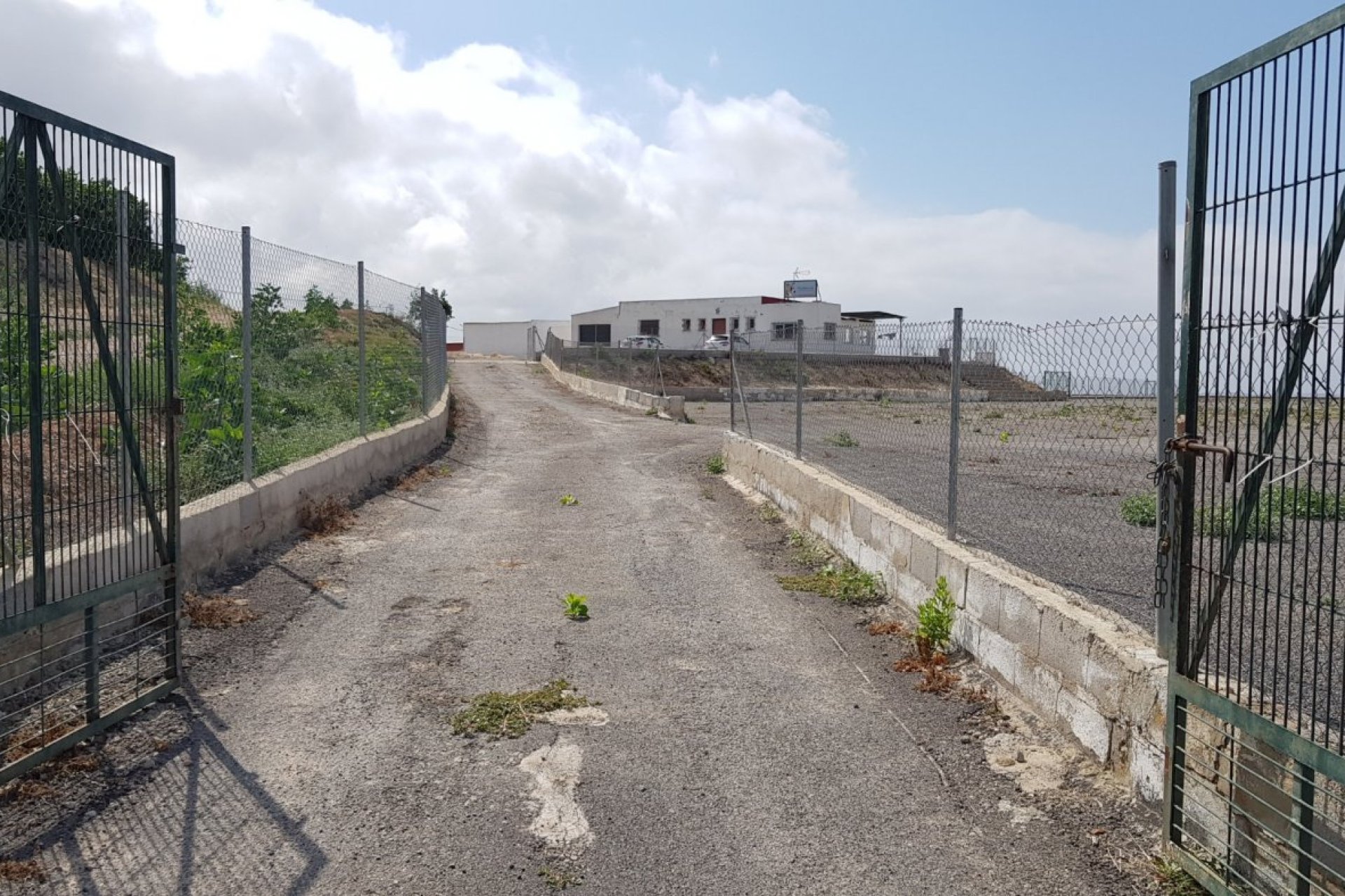 Resale - Finca rústica - Los Montesinos - LOS MONTESINOS