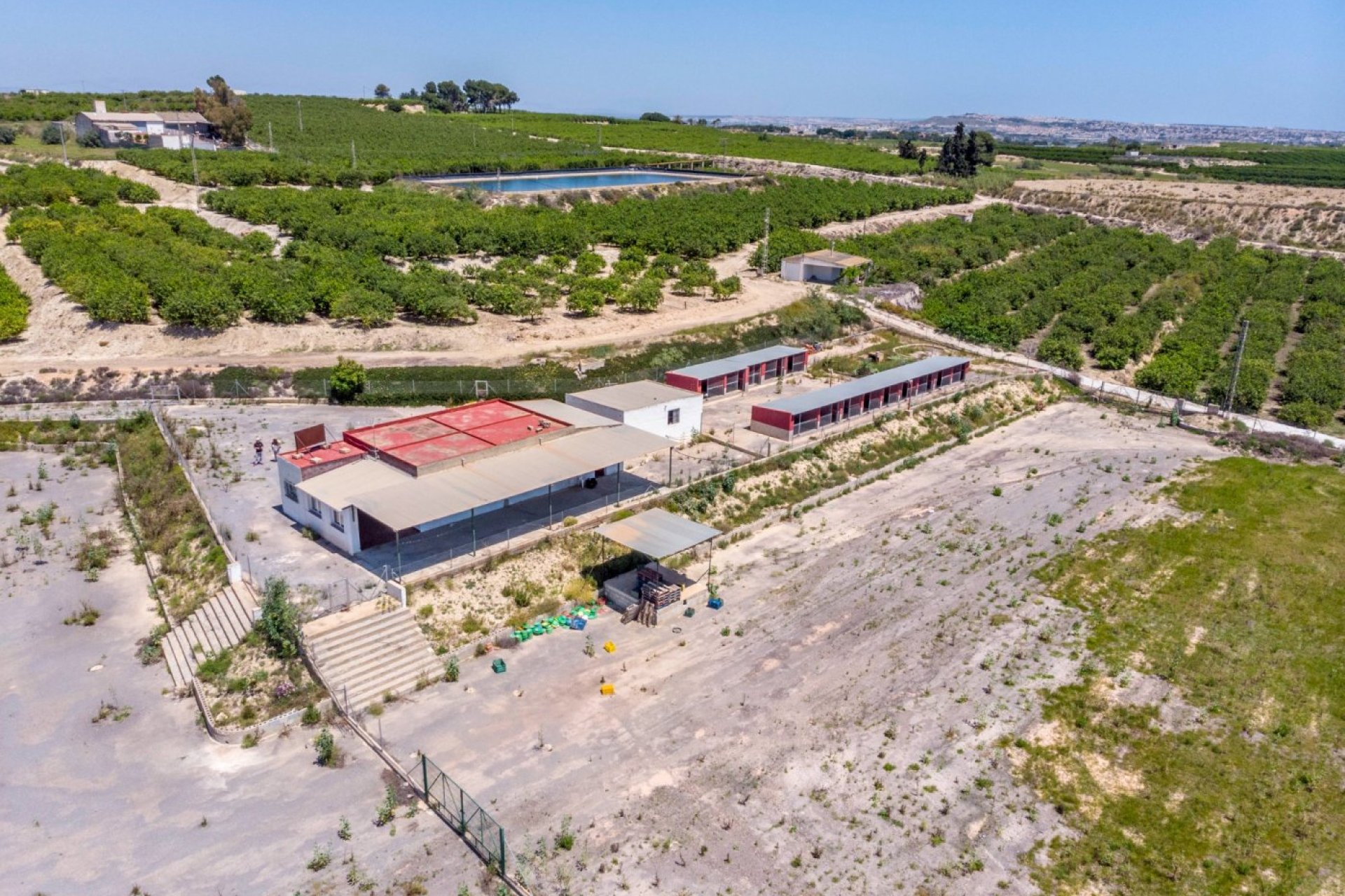 Resale - Finca rústica - Los Montesinos - LOS MONTESINOS