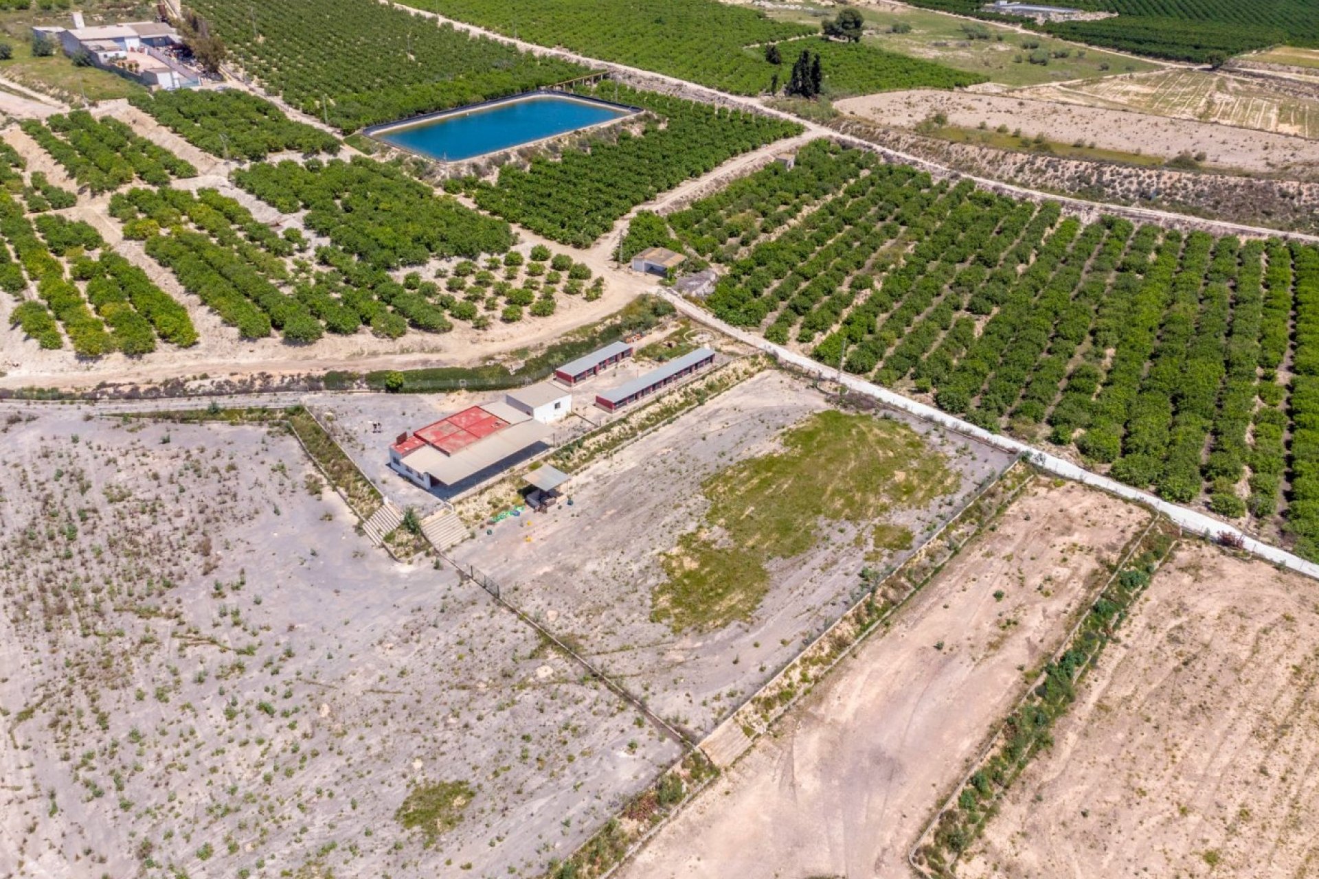 Resale - Finca rústica - Los Montesinos - LOS MONTESINOS