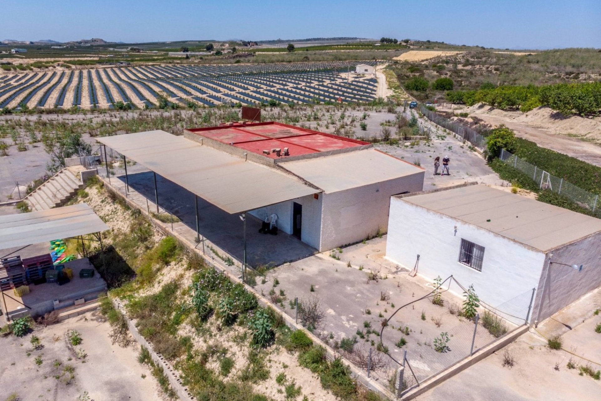 Resale - Finca rústica - Los Montesinos - LOS MONTESINOS