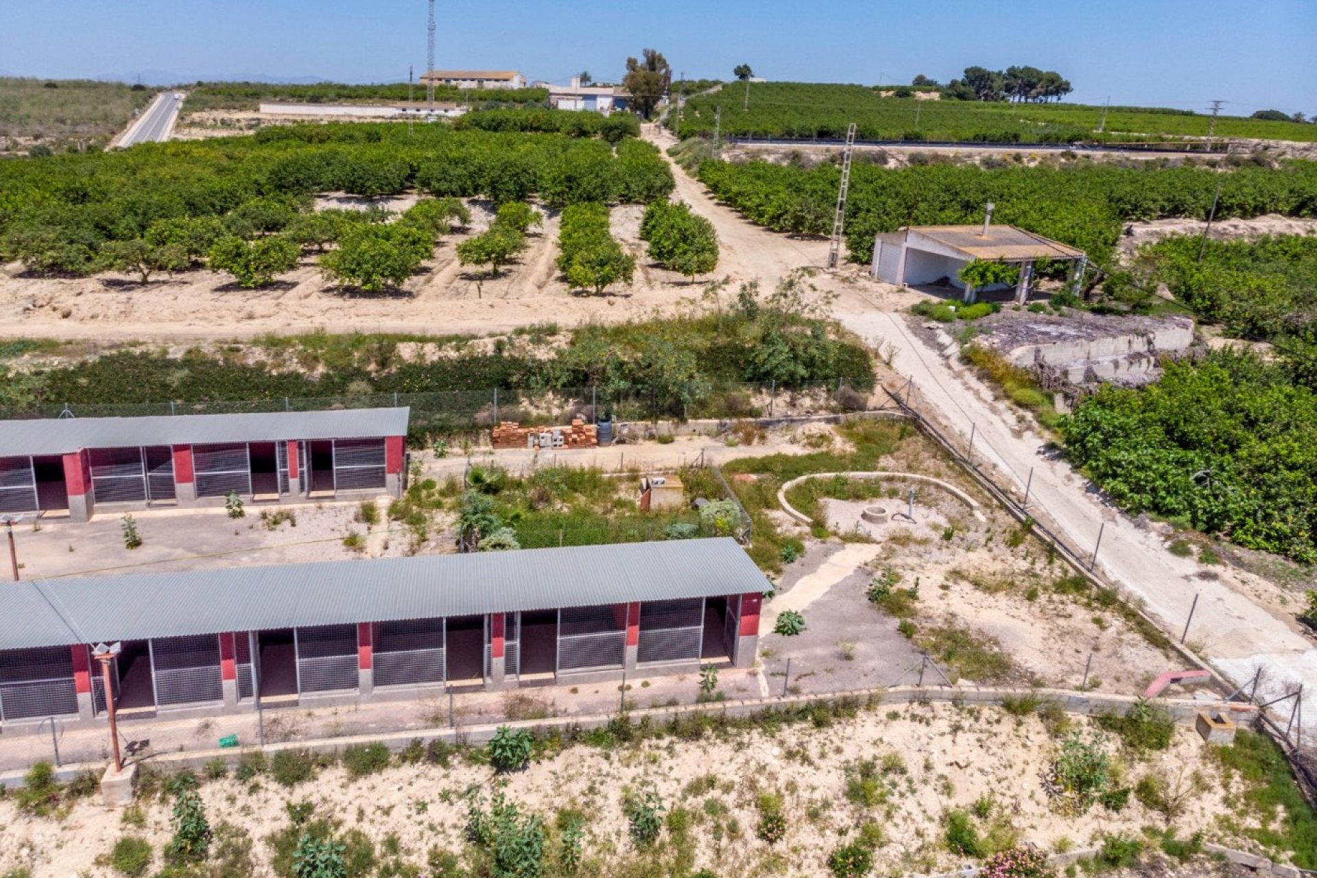 Resale - Finca rústica - Los Montesinos - LOS MONTESINOS