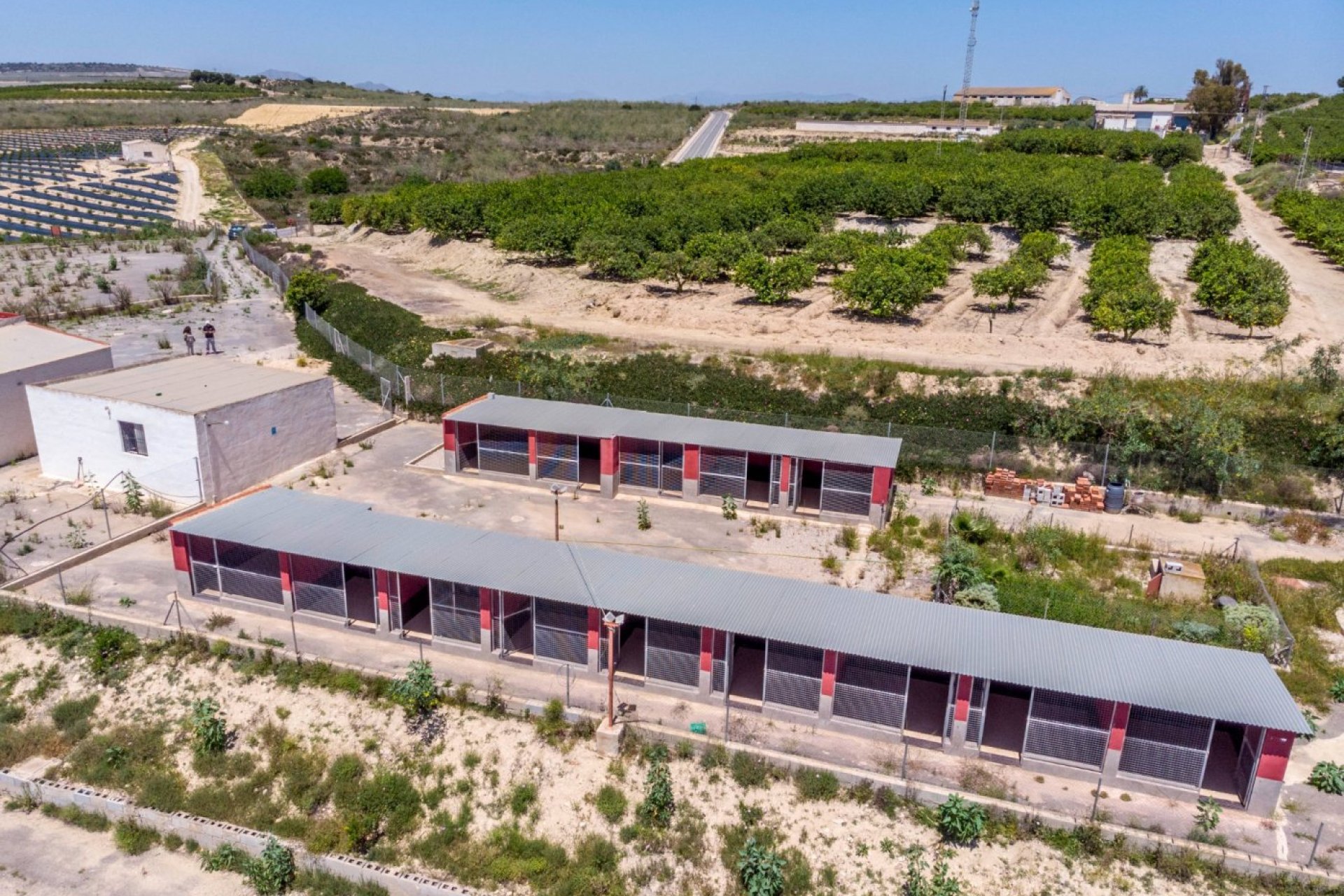 Resale - Finca rústica - Los Montesinos - LOS MONTESINOS