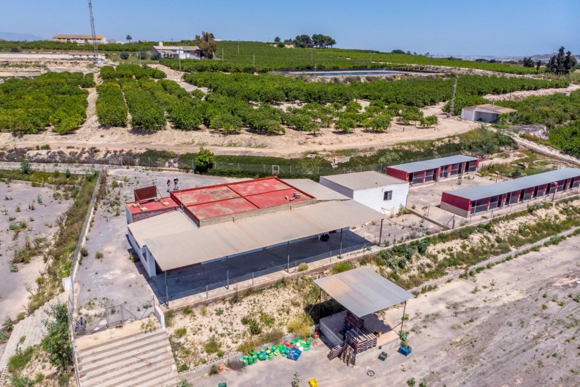 Resale - Finca rústica - Los Montesinos - LOS MONTESINOS