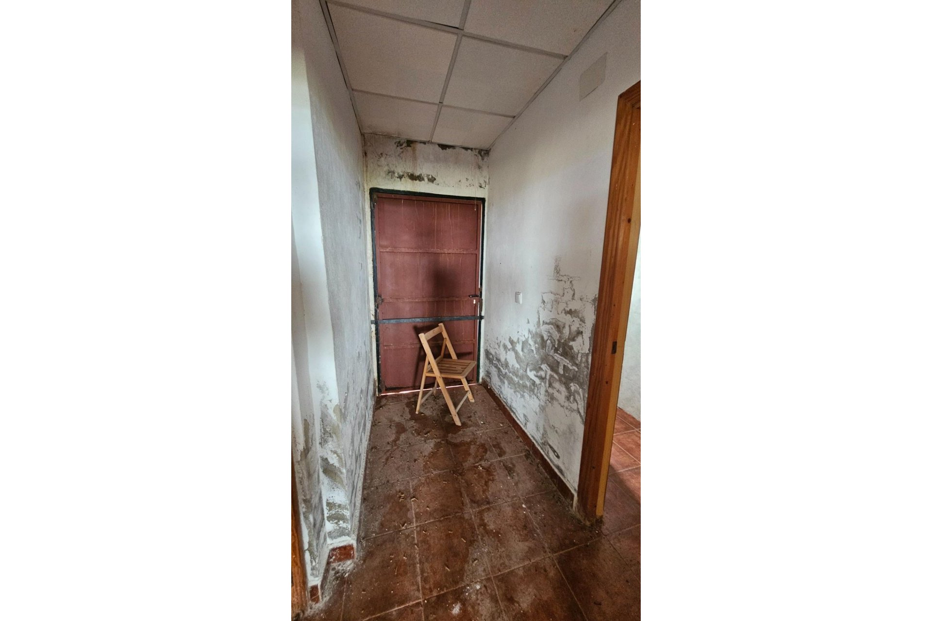 Resale - Finca rústica - Los Montesinos - LOS MONTESINOS