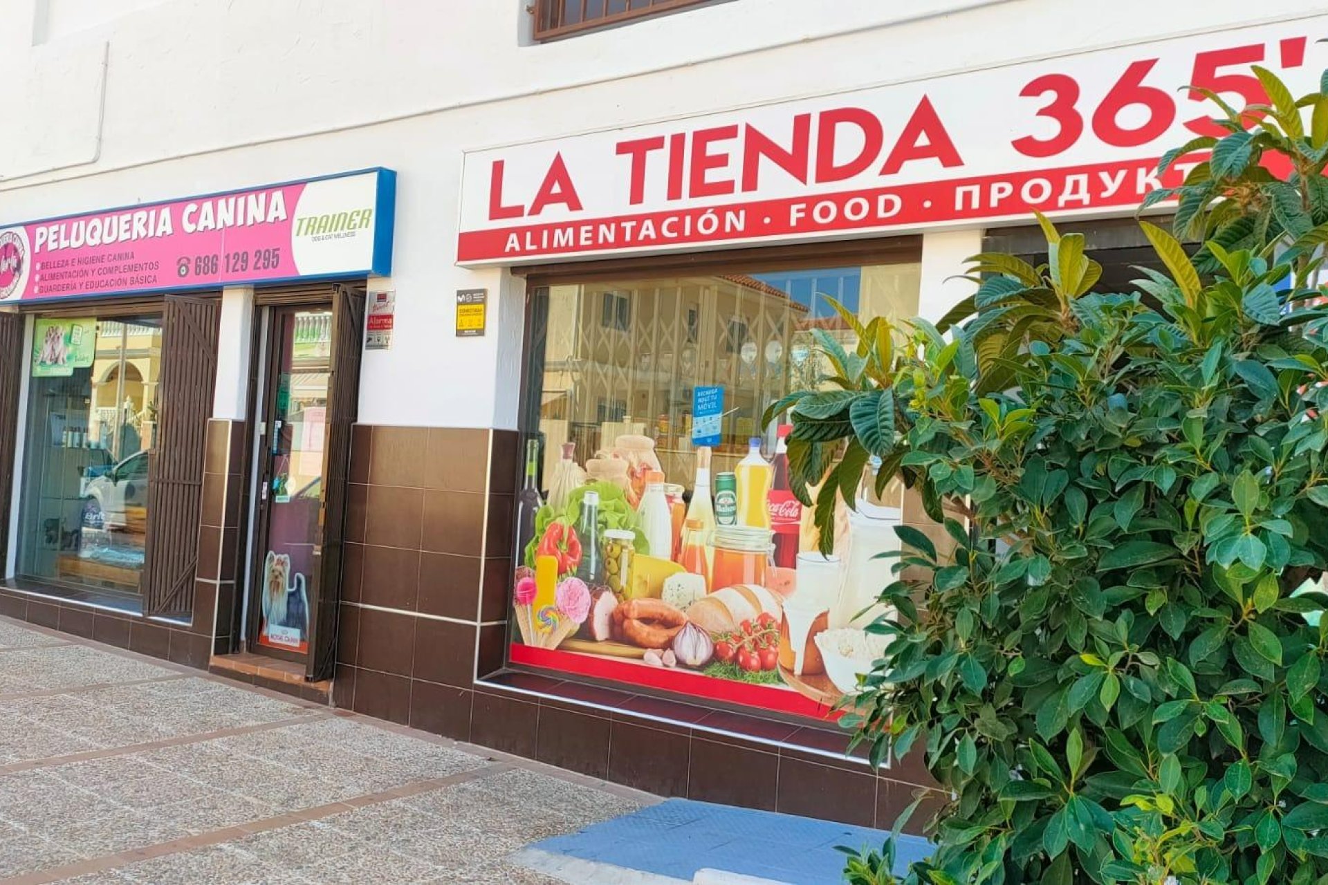 Resale - Local comercial - Torrevieja - Aguas nuevas 1