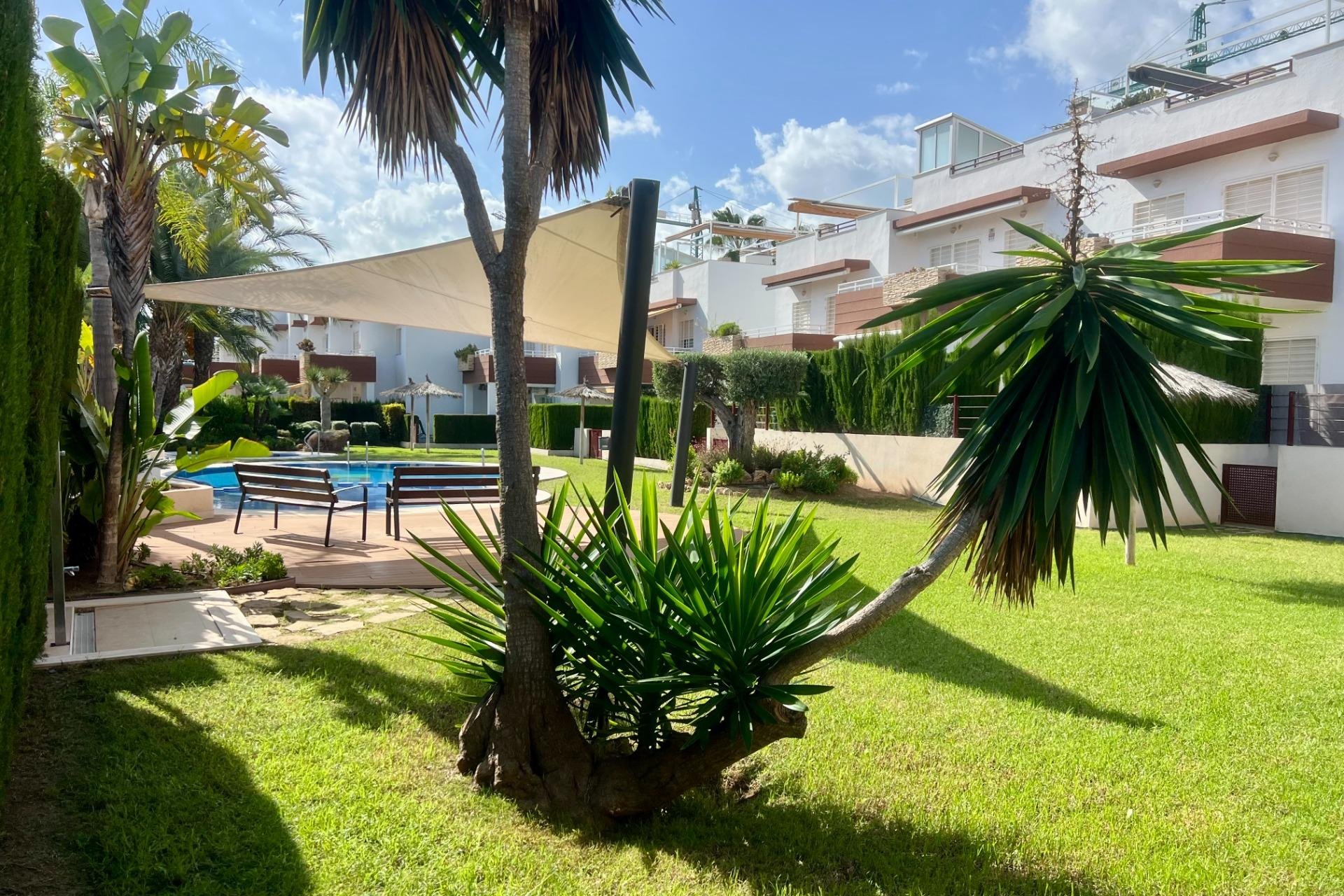 Resale - Penthouse - Orihuela Costa - La Ciñuelica