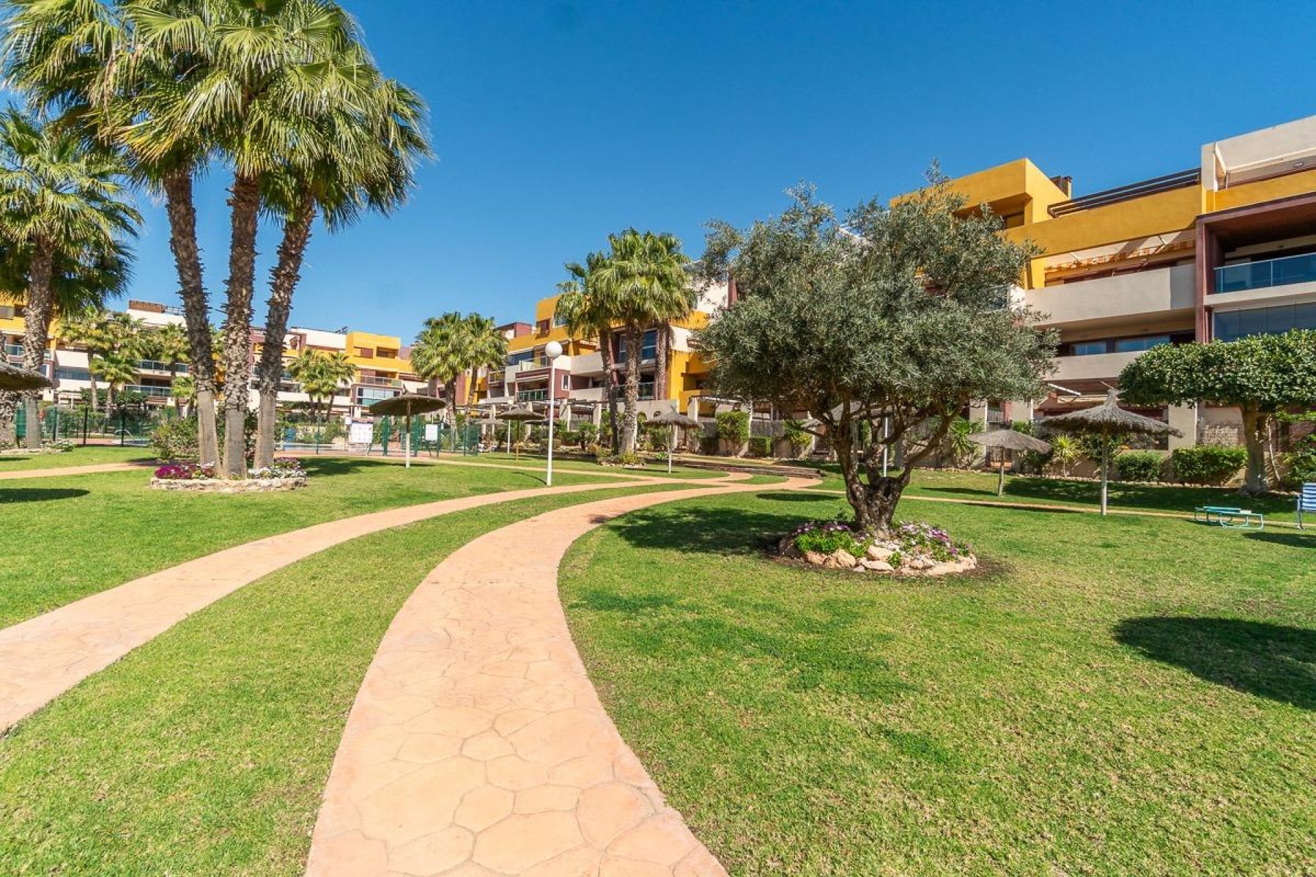 Resale - Penthouse - Orihuela Costa - Playa Flamenca