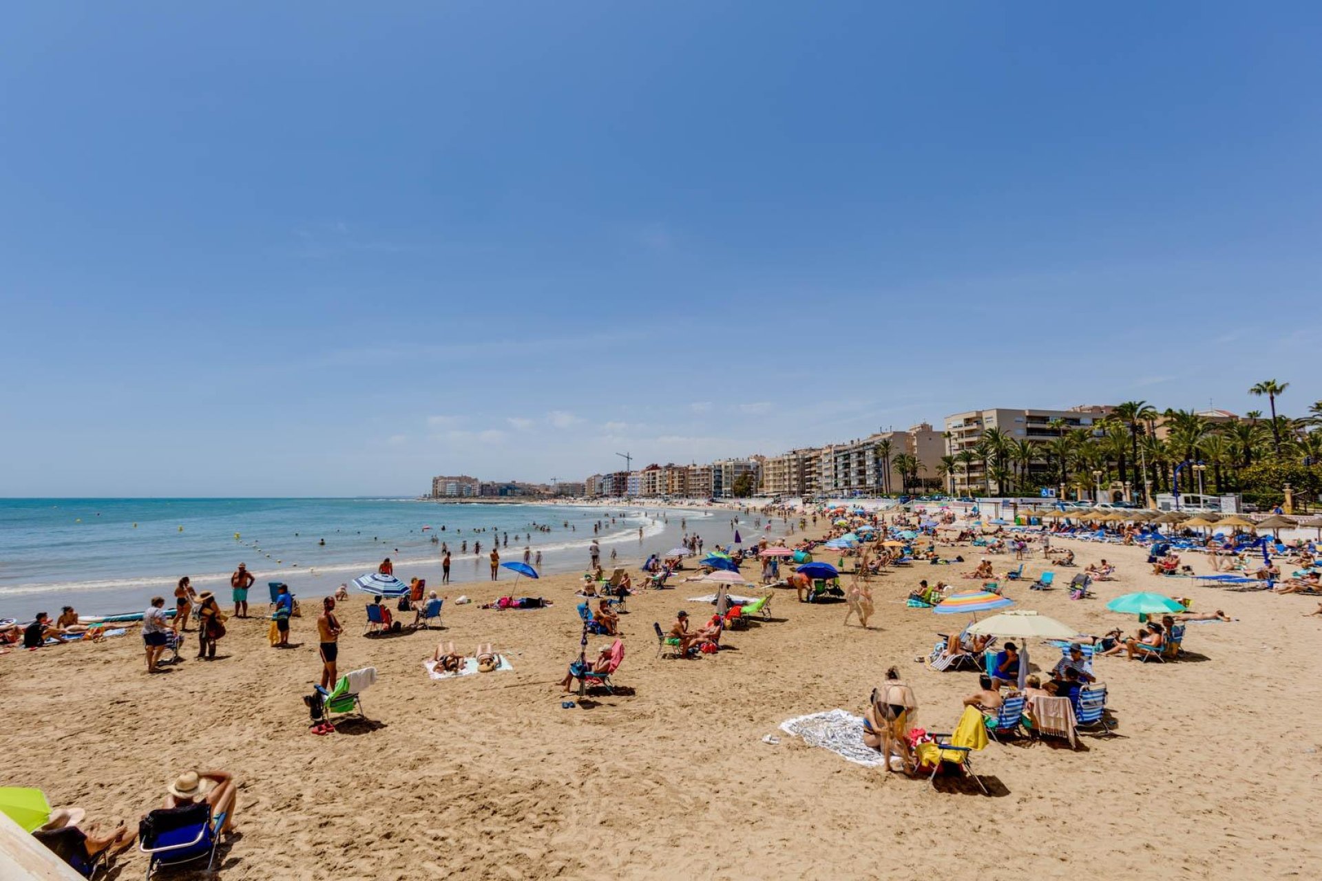 Resale - Penthouse - Torrevieja - Curva del Palangre