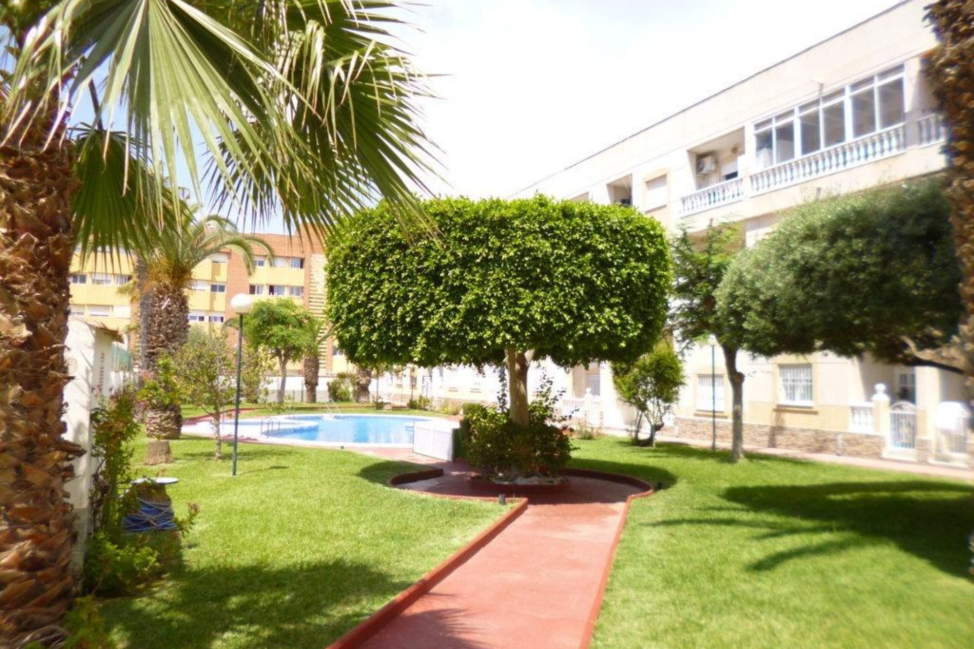 Resale - Penthouse - Torrevieja - Estacion de autobuses