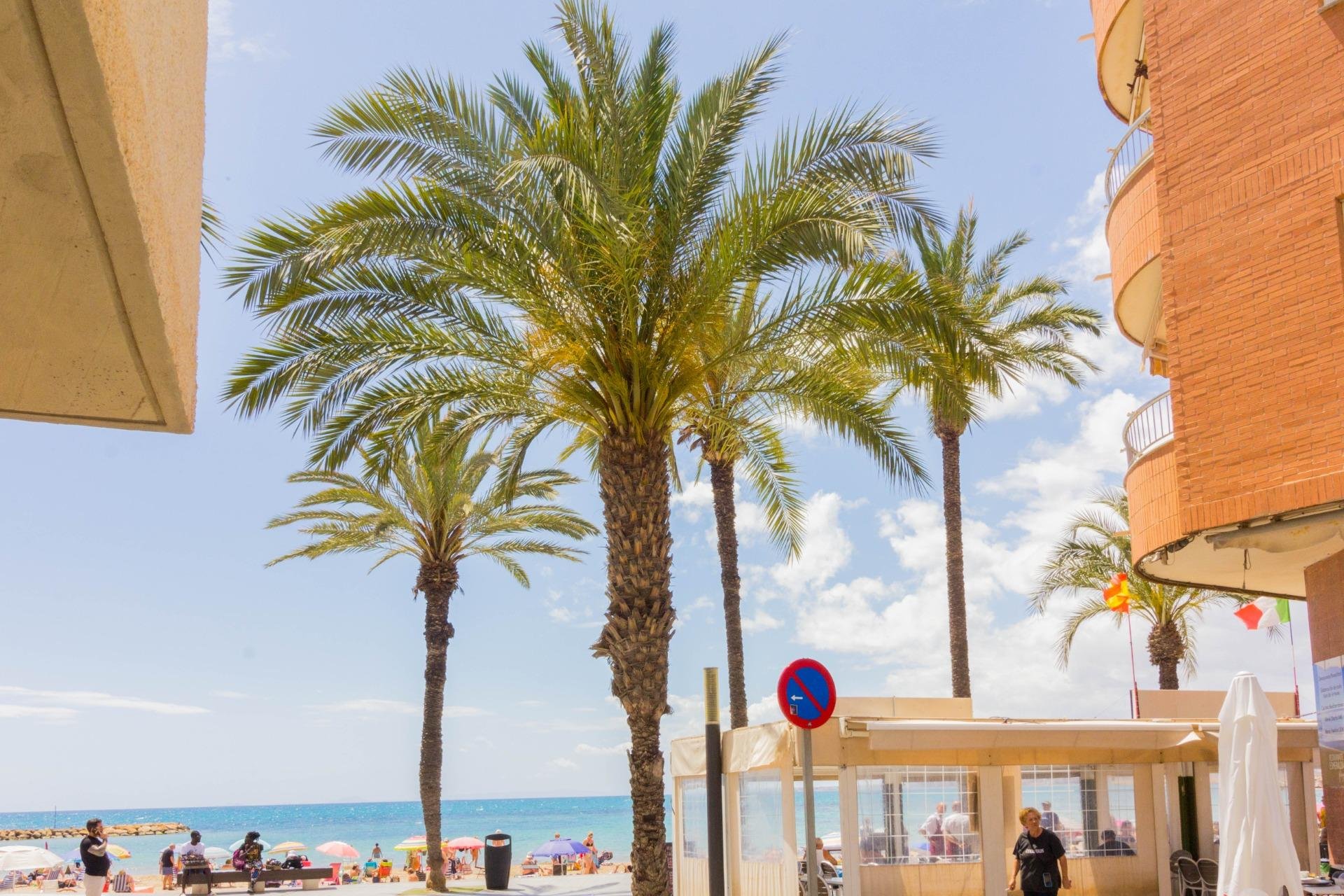 Resale - Penthouse - Torrevieja - Playa del Cura