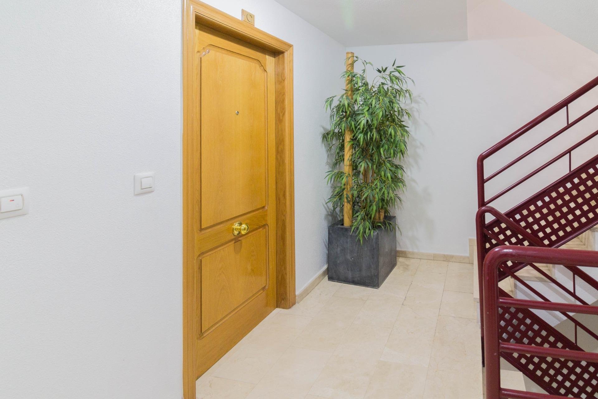 Resale - Piso - Orihuela - Zona Centro