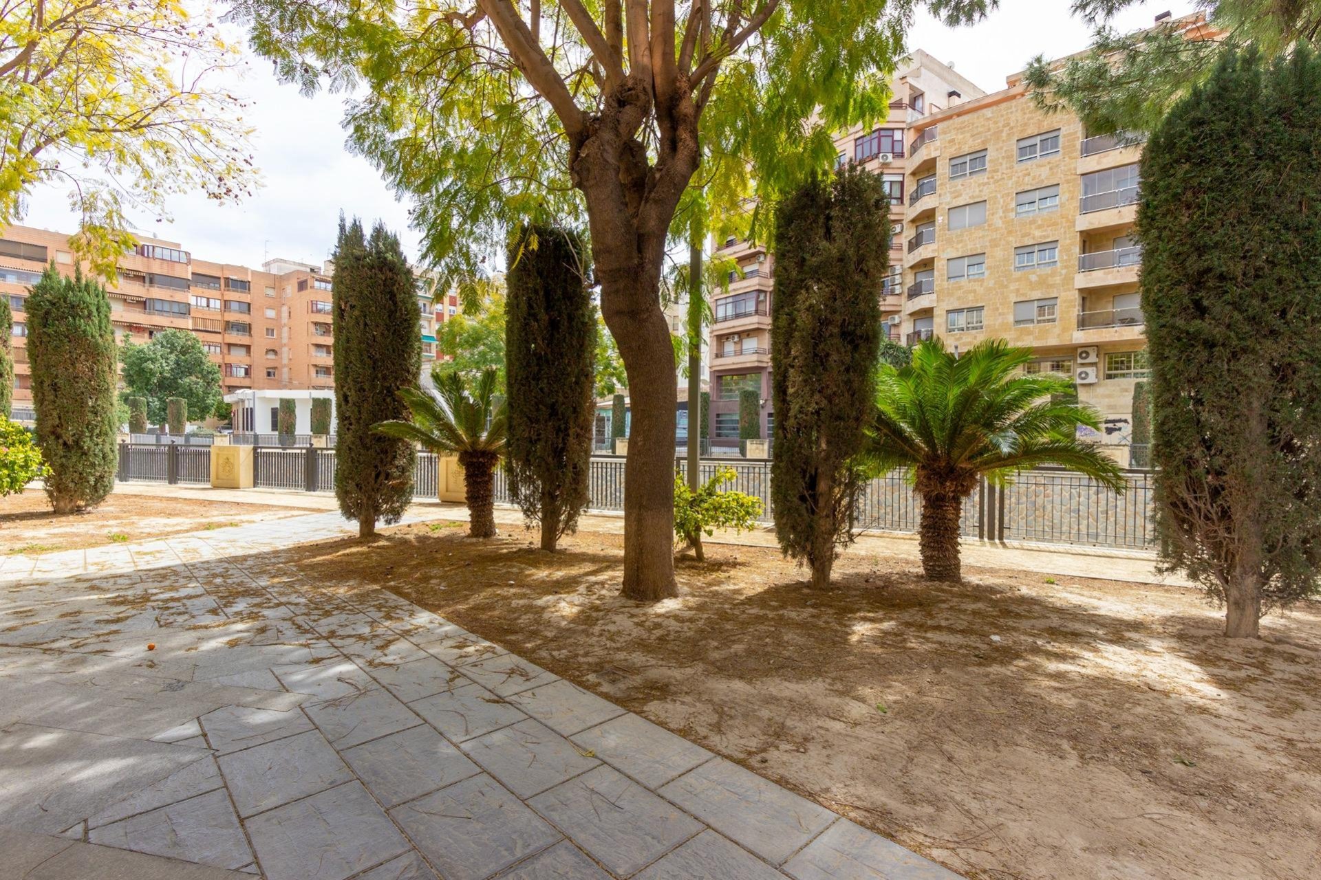 Resale - Piso - Orihuela - Zona Centro