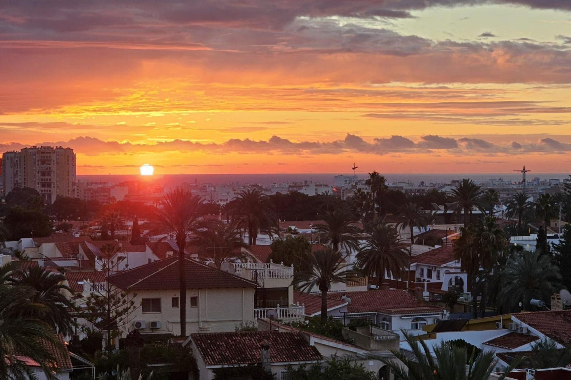 Resale - Piso - Torrevieja - Nueva Torrevieja