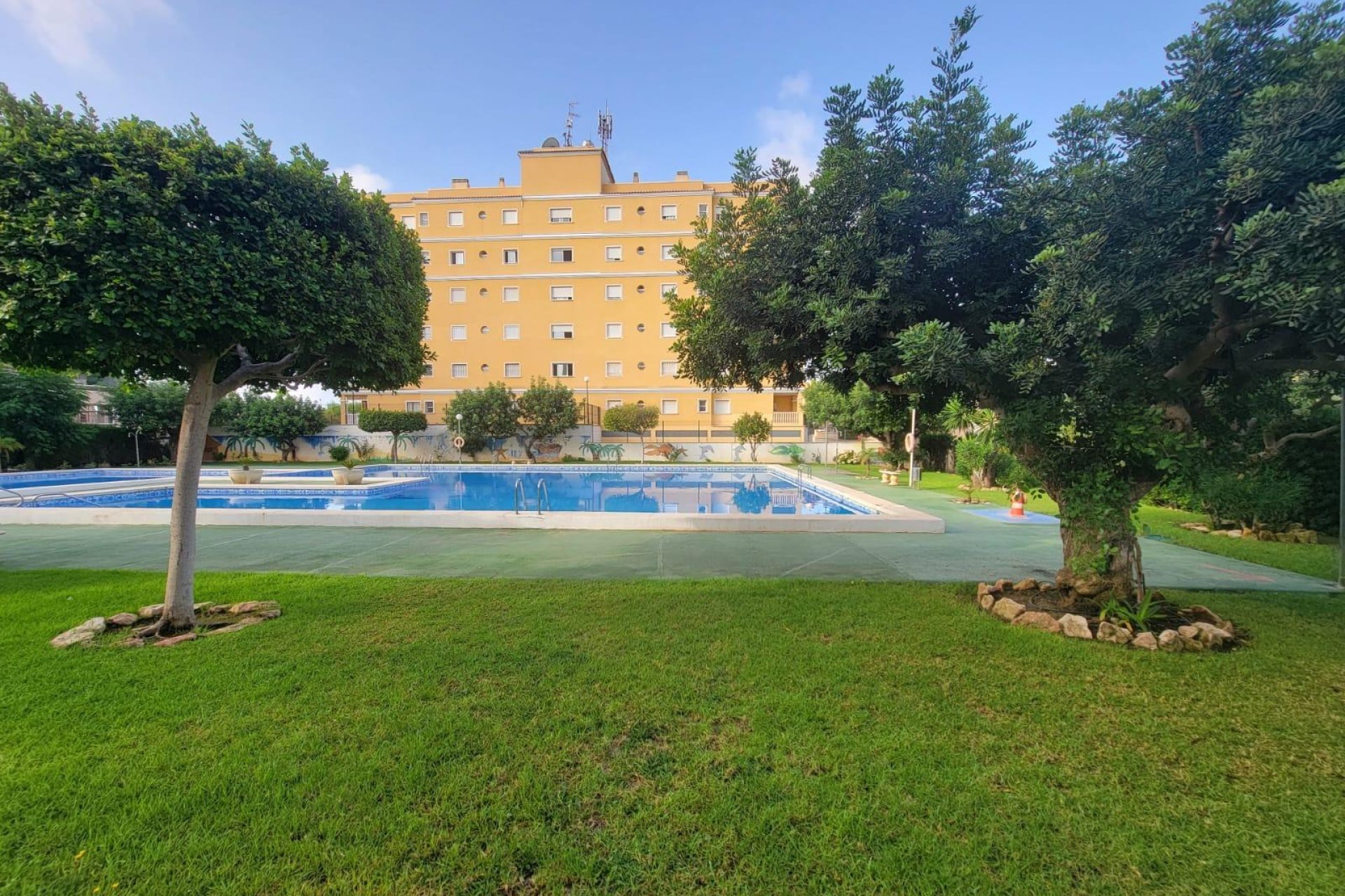 Resale - Planta baja - Torrevieja - Aguas Nuevas