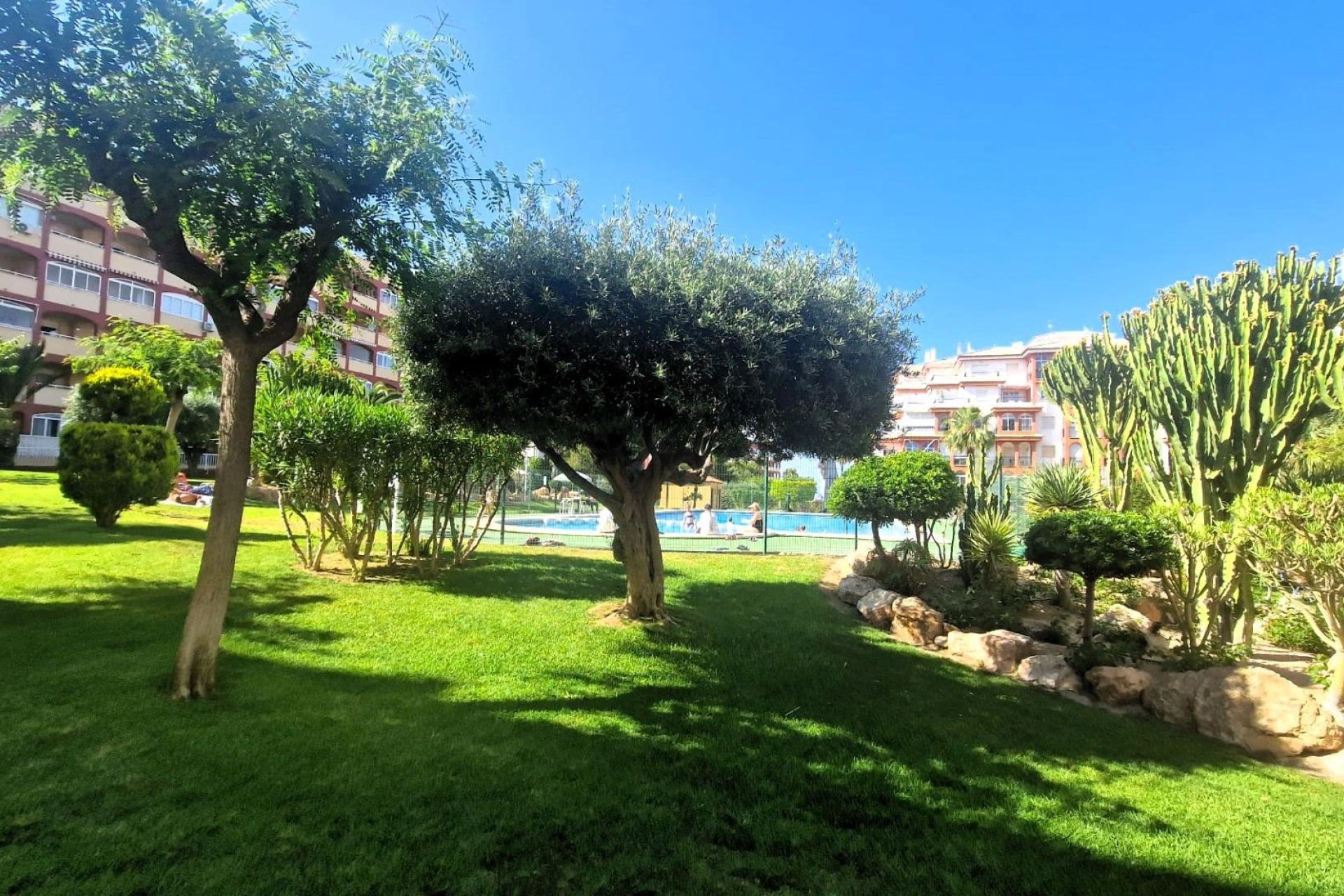 Resale - Planta baja - Torrevieja - Torreblanca