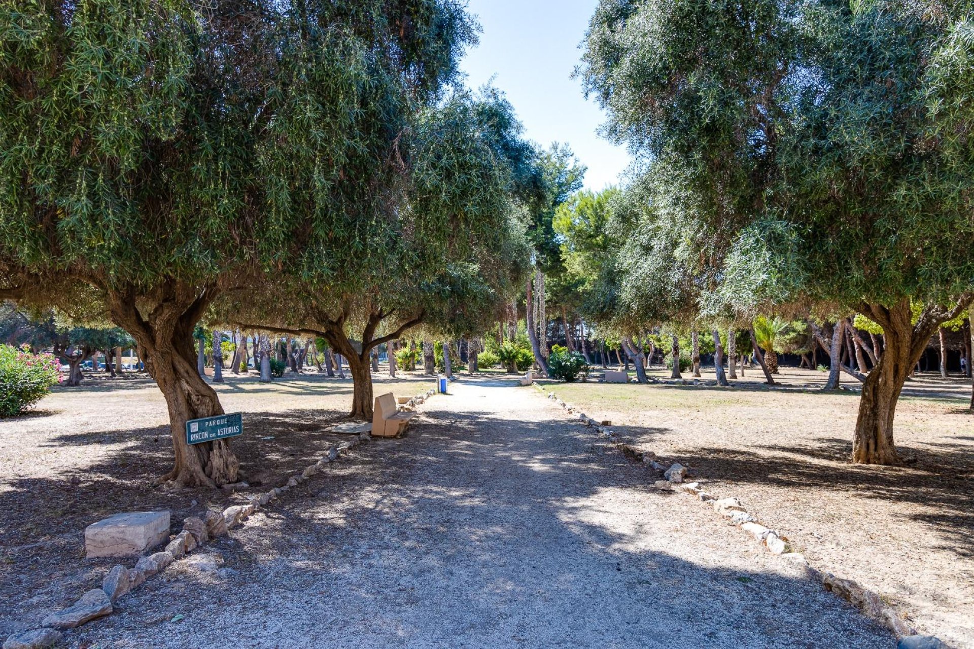 Resale - Study - Torrevieja - Acequion