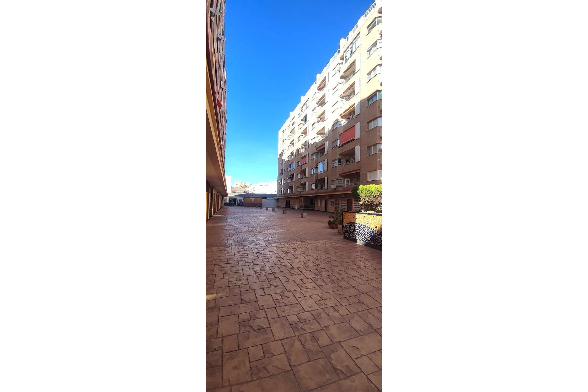 Resale - Study - Torrevieja - Centro