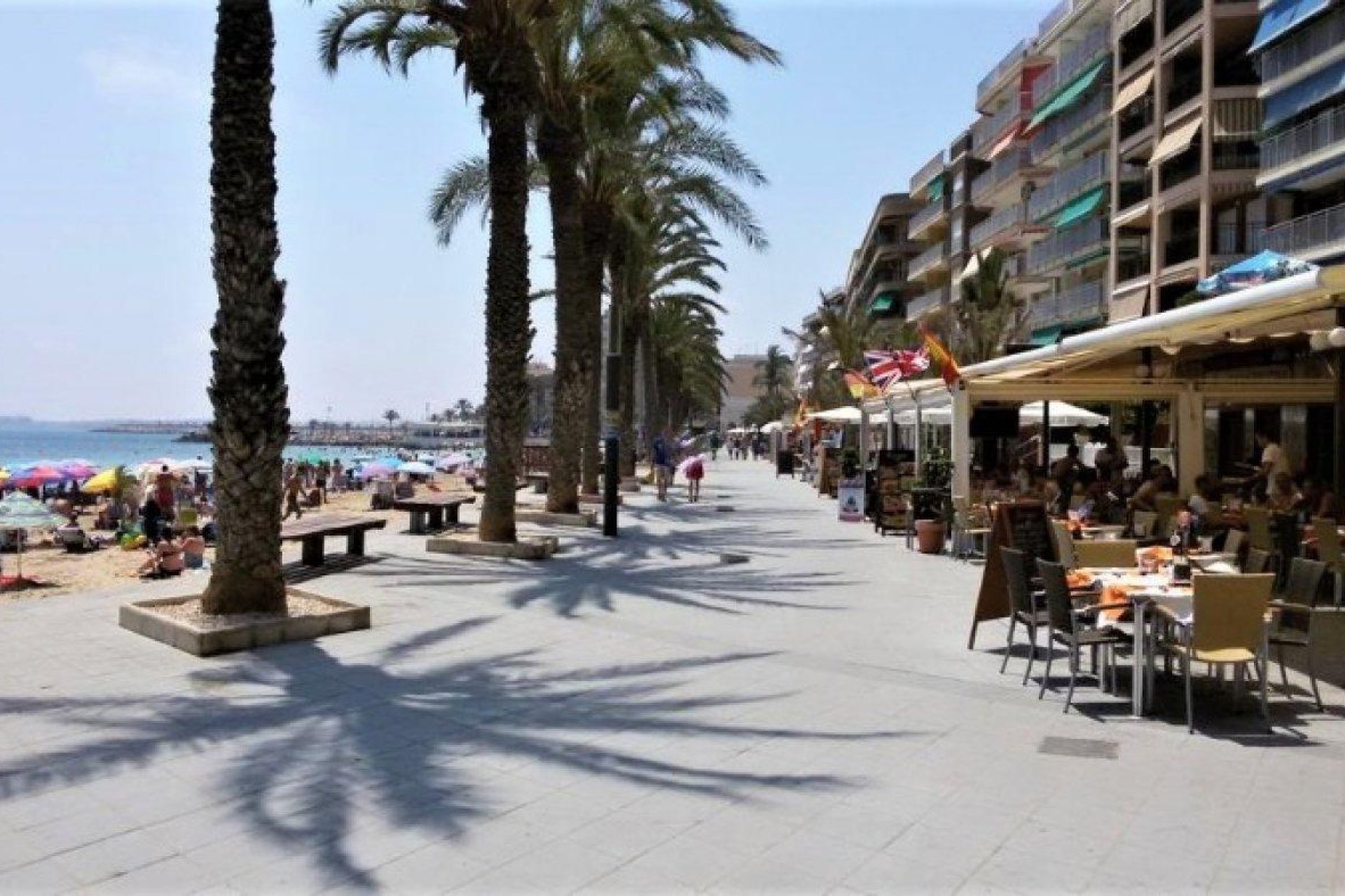 Resale - Study - Torrevieja - Paseo maritimo