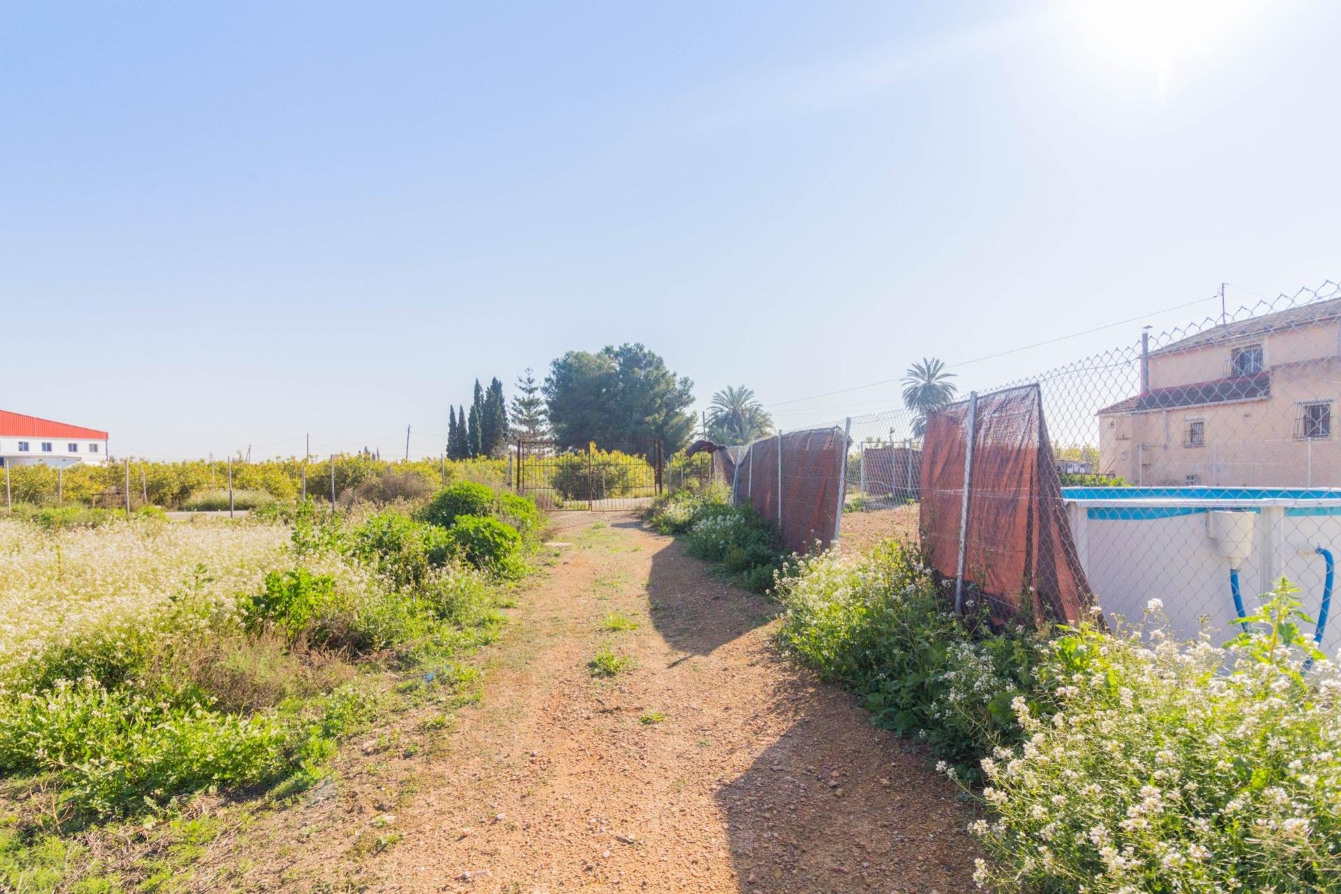 Resale - Terreno rural - Callosa de Segura - Comunidad valenciana