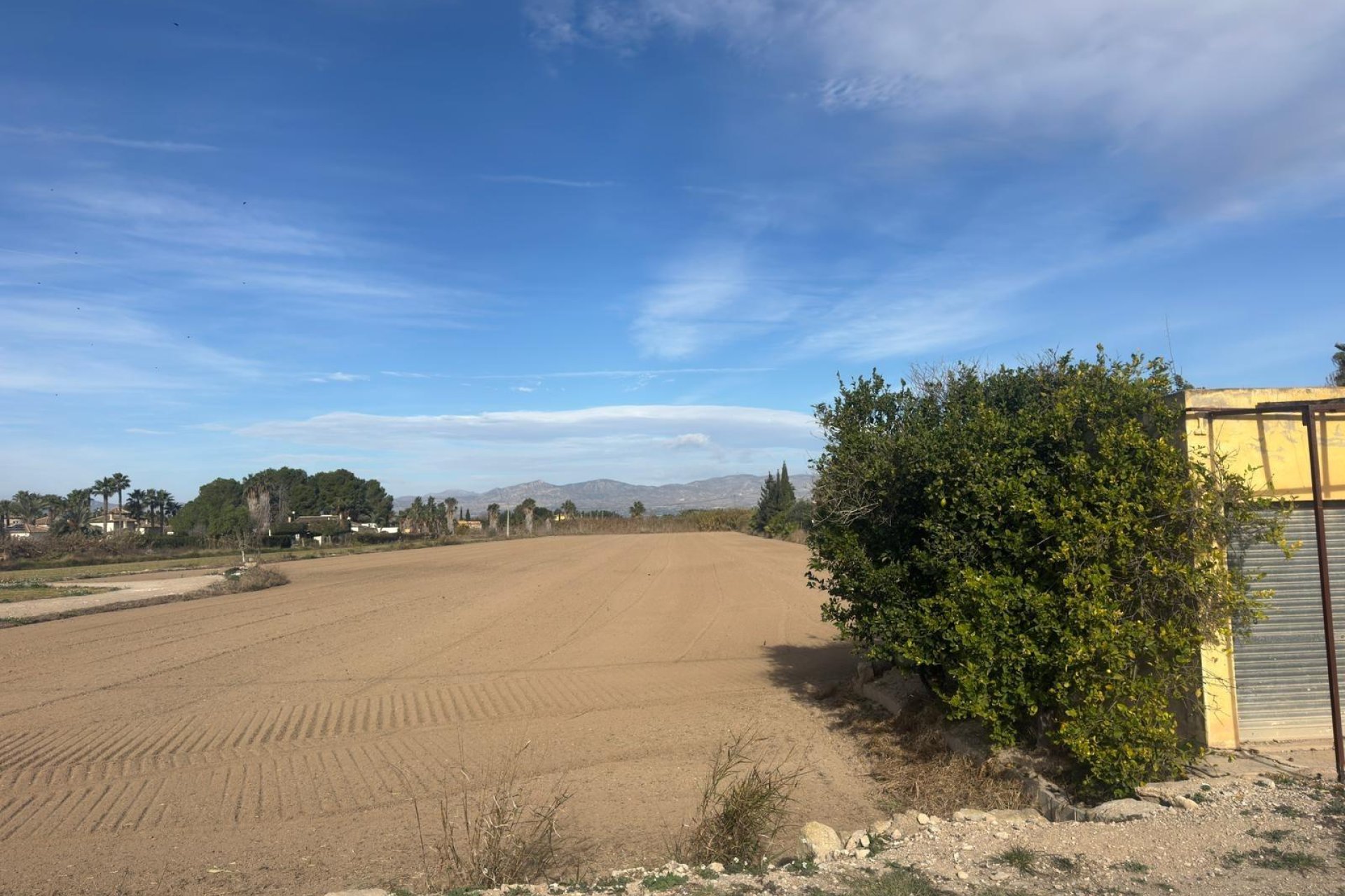 Resale - Terreno rural - Catral - Arroba La Madriguera