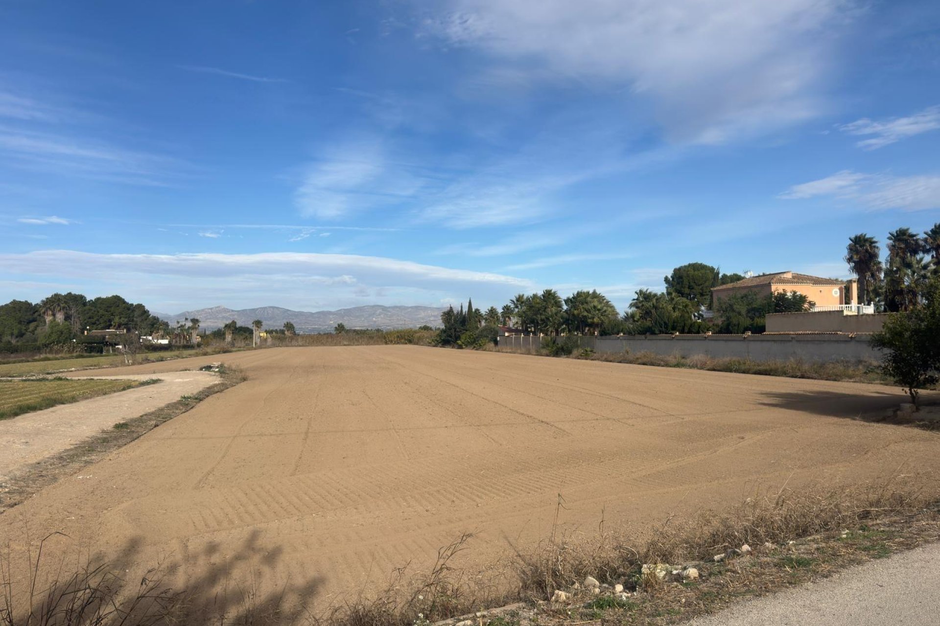 Resale - Terreno rural - Catral - Arroba La Madriguera