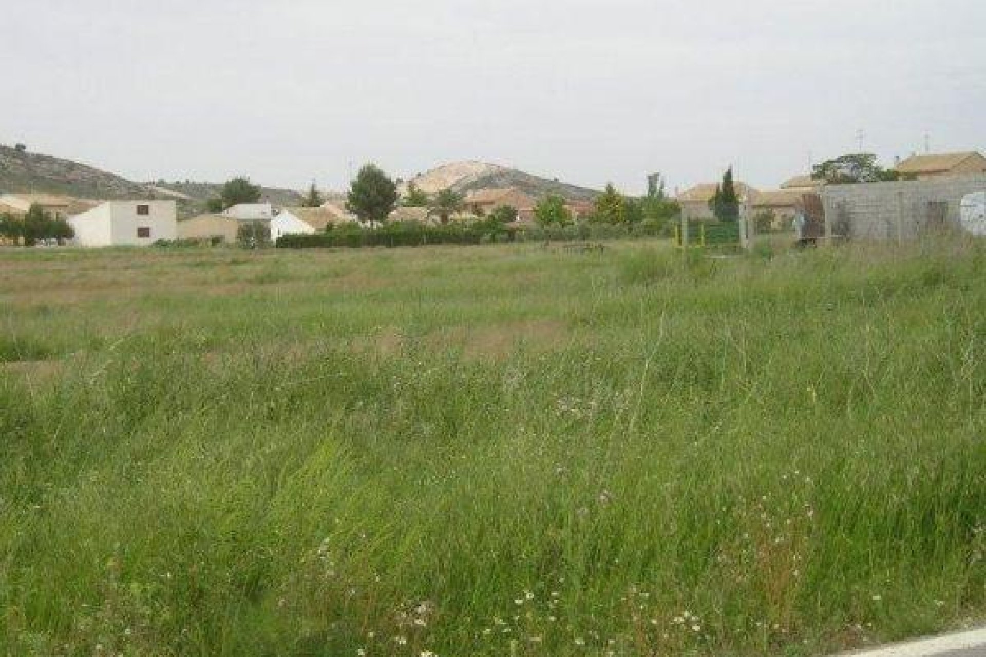 Resale - Terreno rural - Jumilla - CAÑADA DEL TRIGO