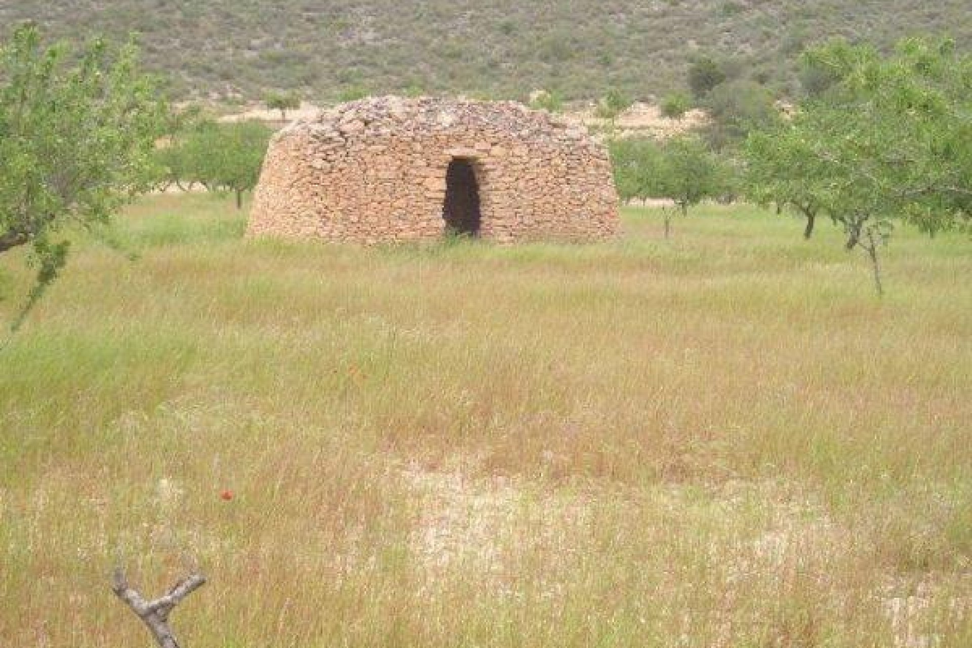 Resale - Terreno rural - Jumilla - CAÑADA DEL TRIGO