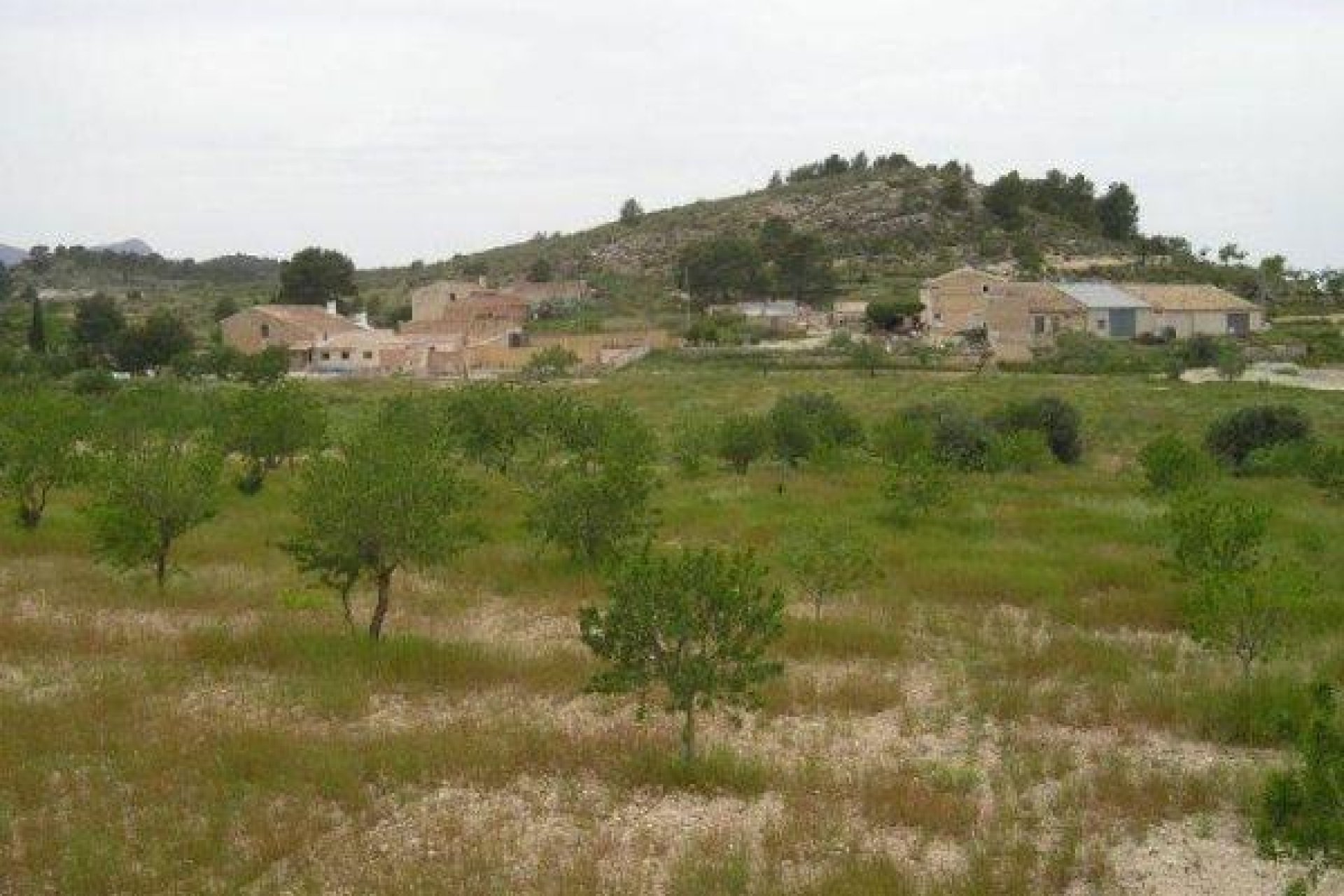 Resale - Terreno rural - Jumilla - CAÑADA DEL TRIGO