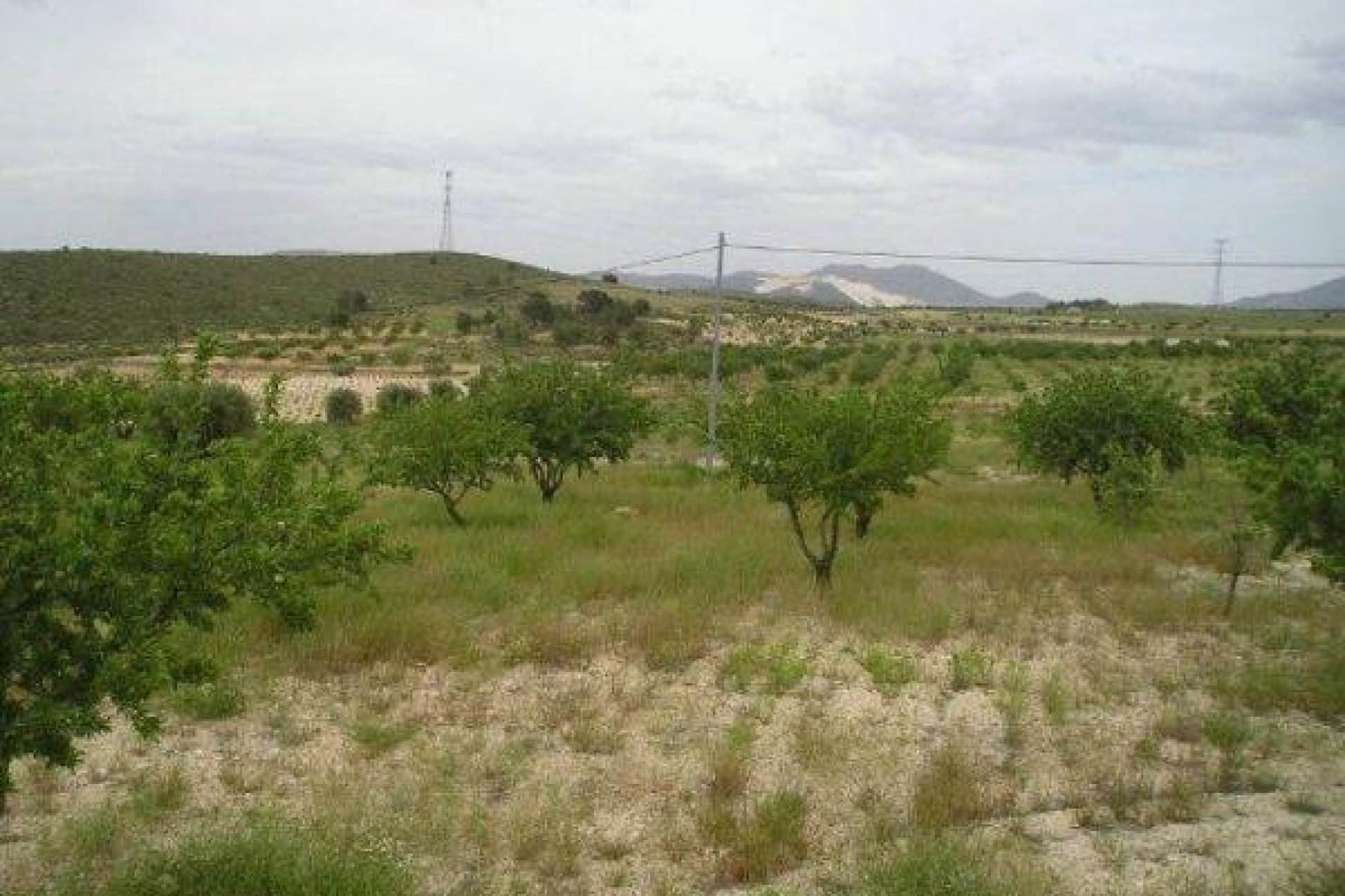 Resale - Terreno rural - Jumilla - CAÑADA DEL TRIGO