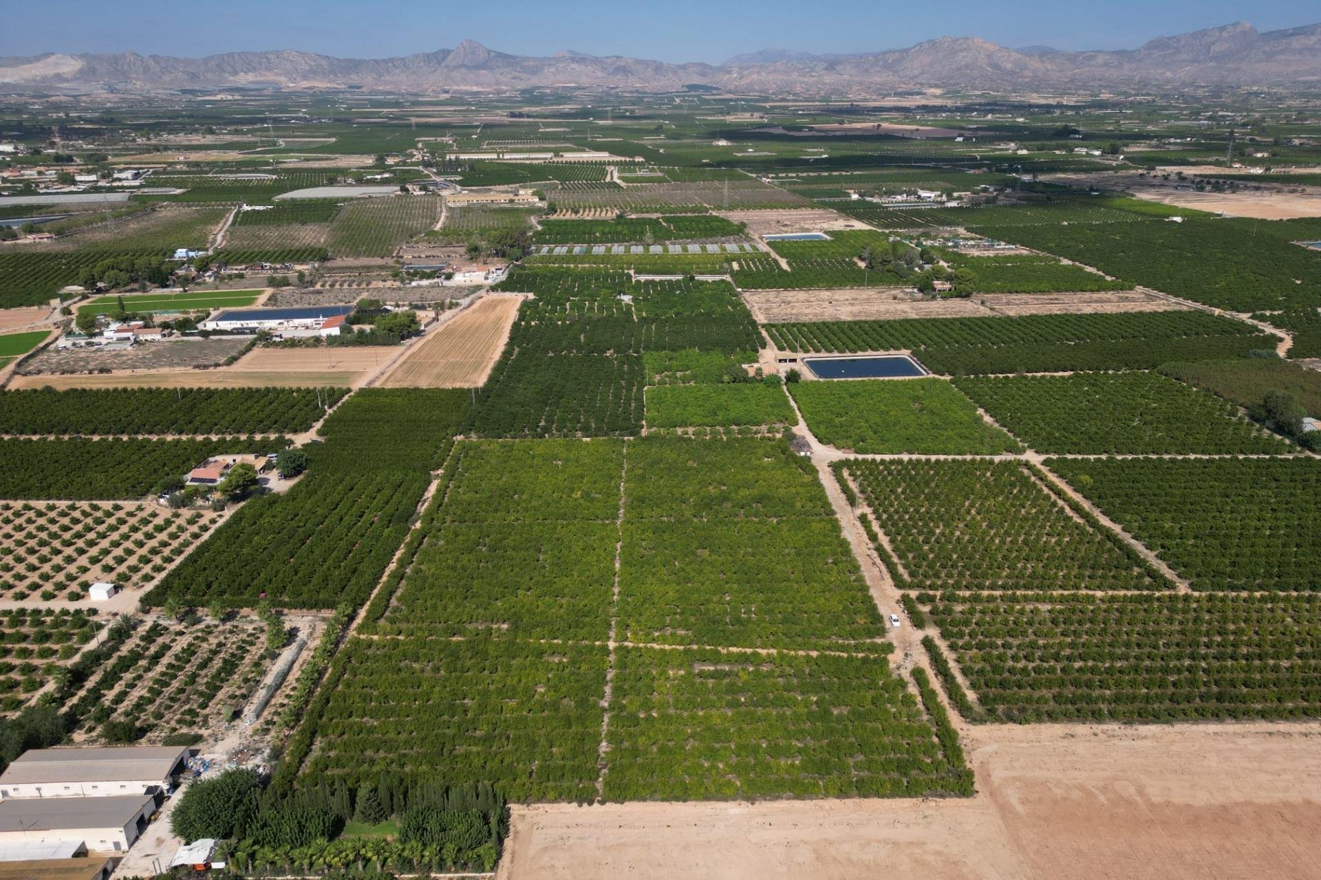 Resale - Terreno rural - Orihuela - La Murada-Los Vicentes