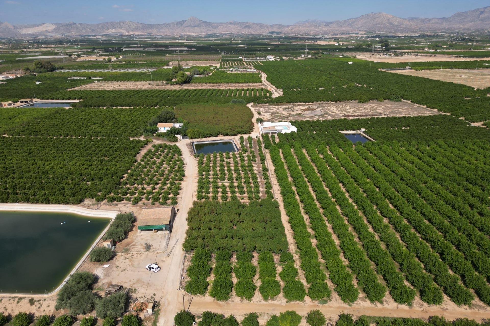 Resale - Terreno rural - Orihuela - La Murada-Los Vicentes