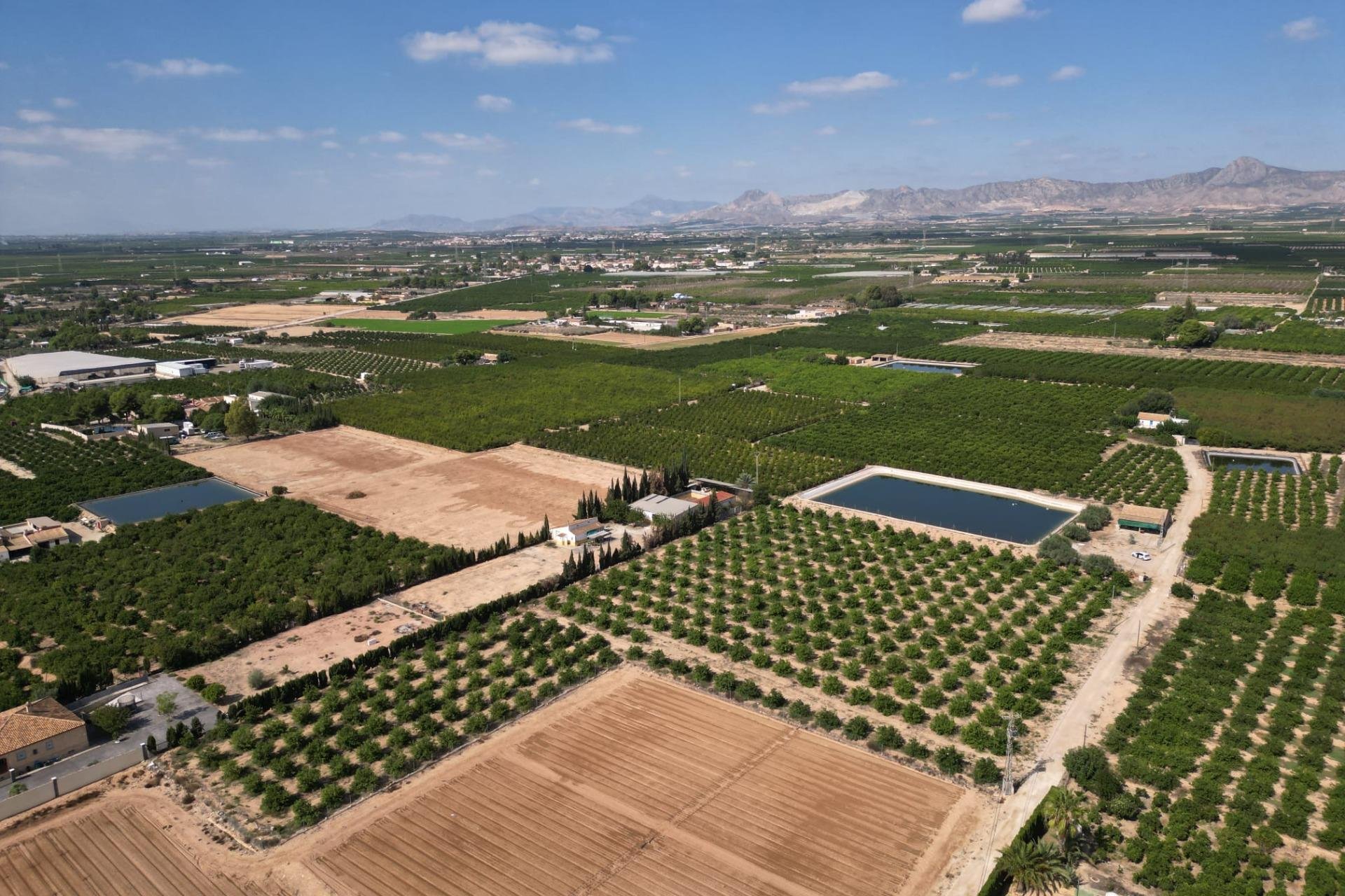 Resale - Terreno rural - Orihuela - La Murada-Los Vicentes