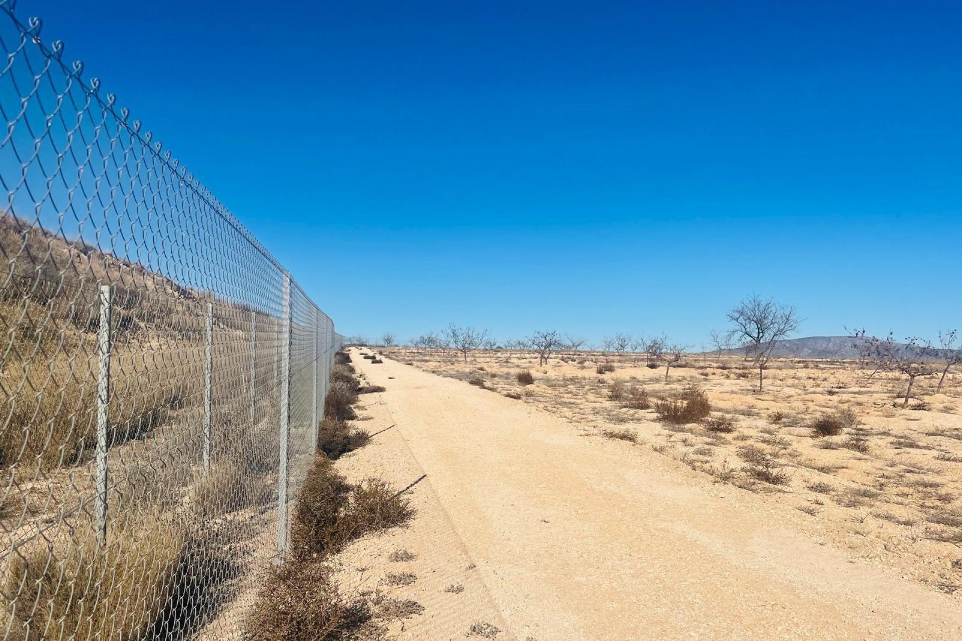 Resale - Terreno urbanizable - Pinoso - A 2 km de la ciudad