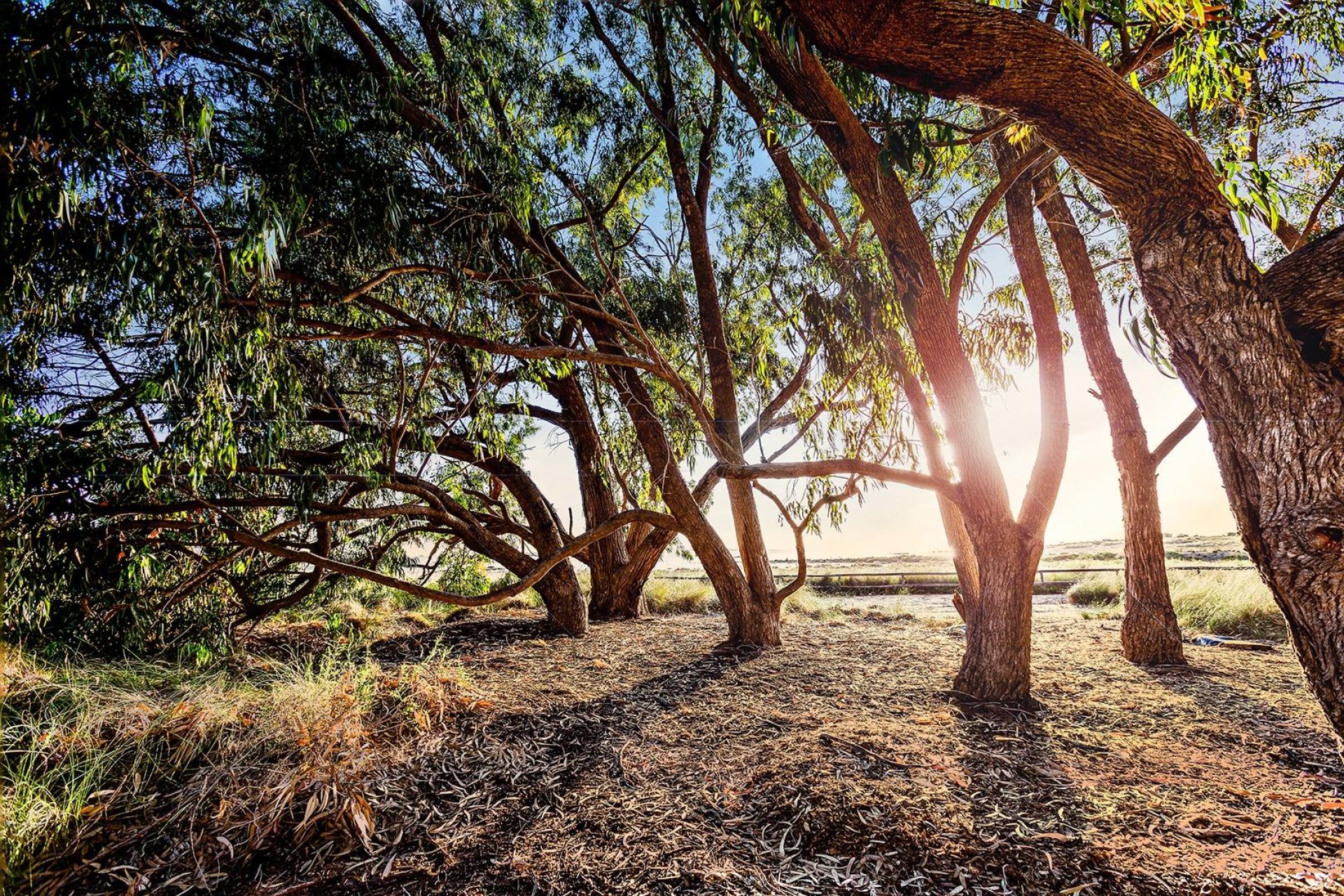 Resale - Townhouse - Torrevieja - Paraje natural