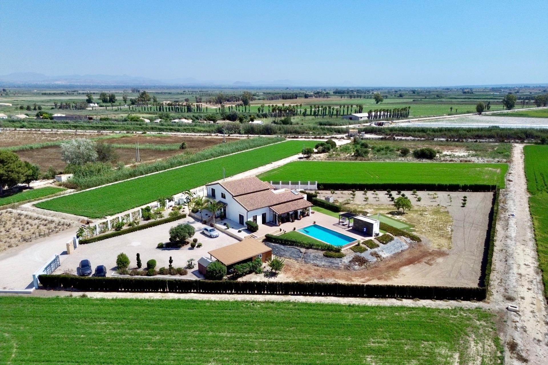 Resale - Villa de Lujo - Dolores - Comunidad valenciana