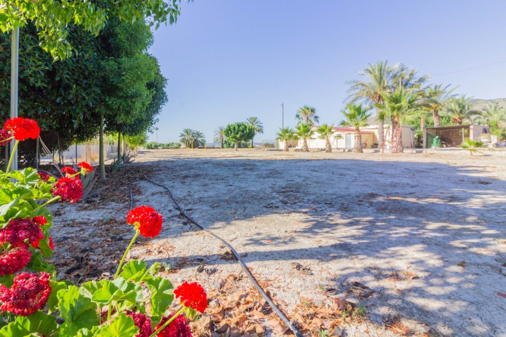 Resale - Villa de Lujo - Redován