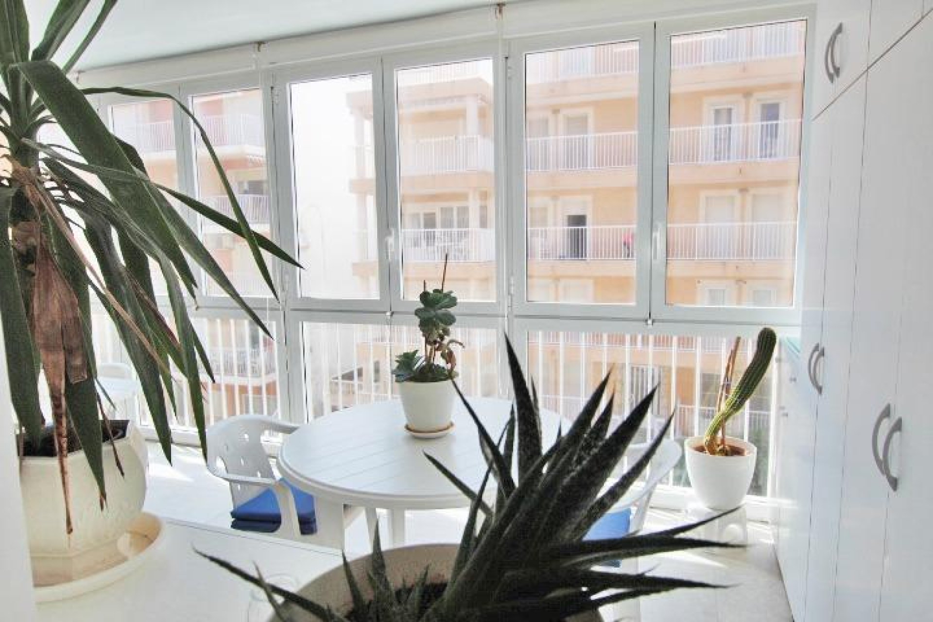 Reventa - Apartamento - Guardamar del Segura - Pueblo