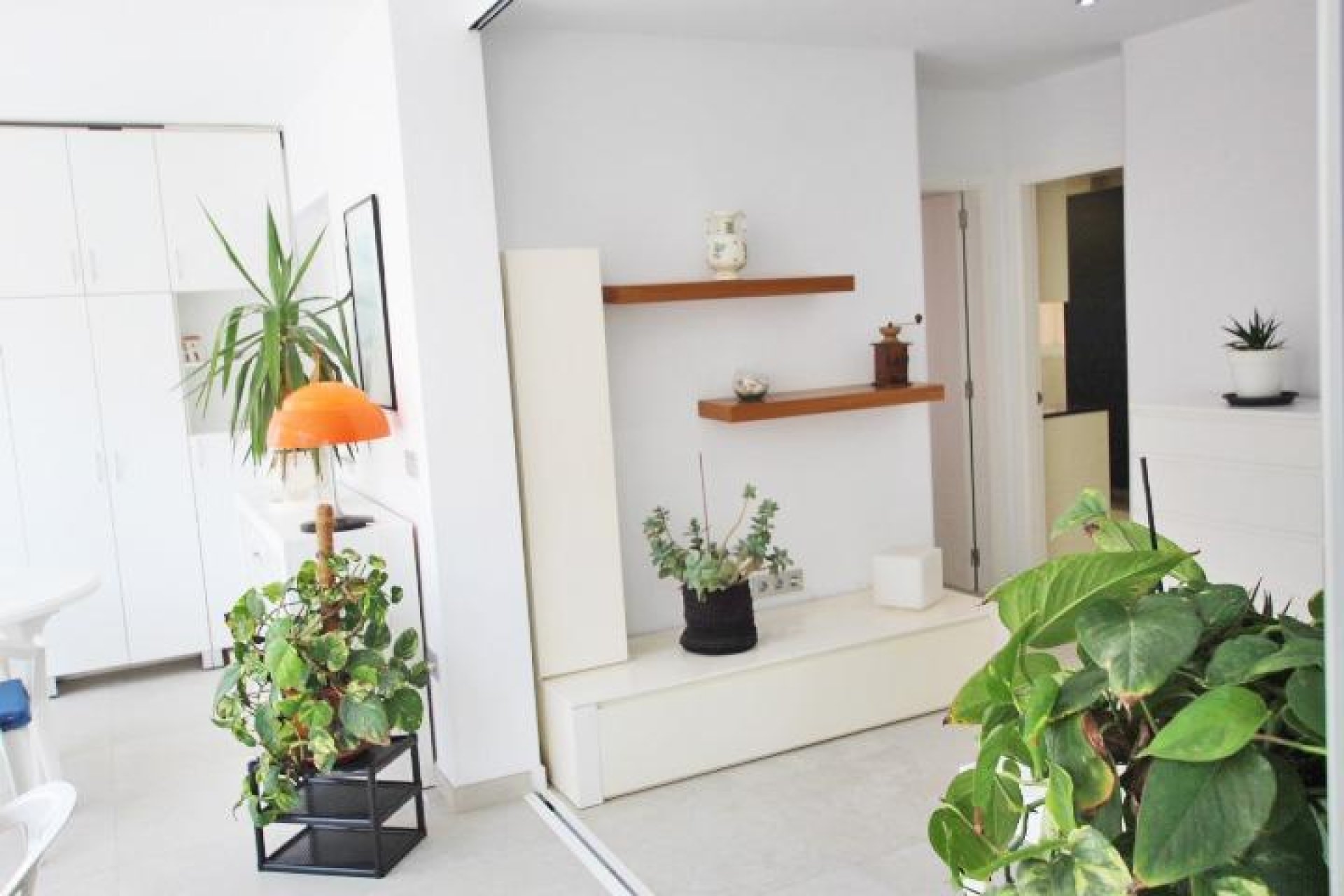 Reventa - Apartamento - Guardamar del Segura - Pueblo