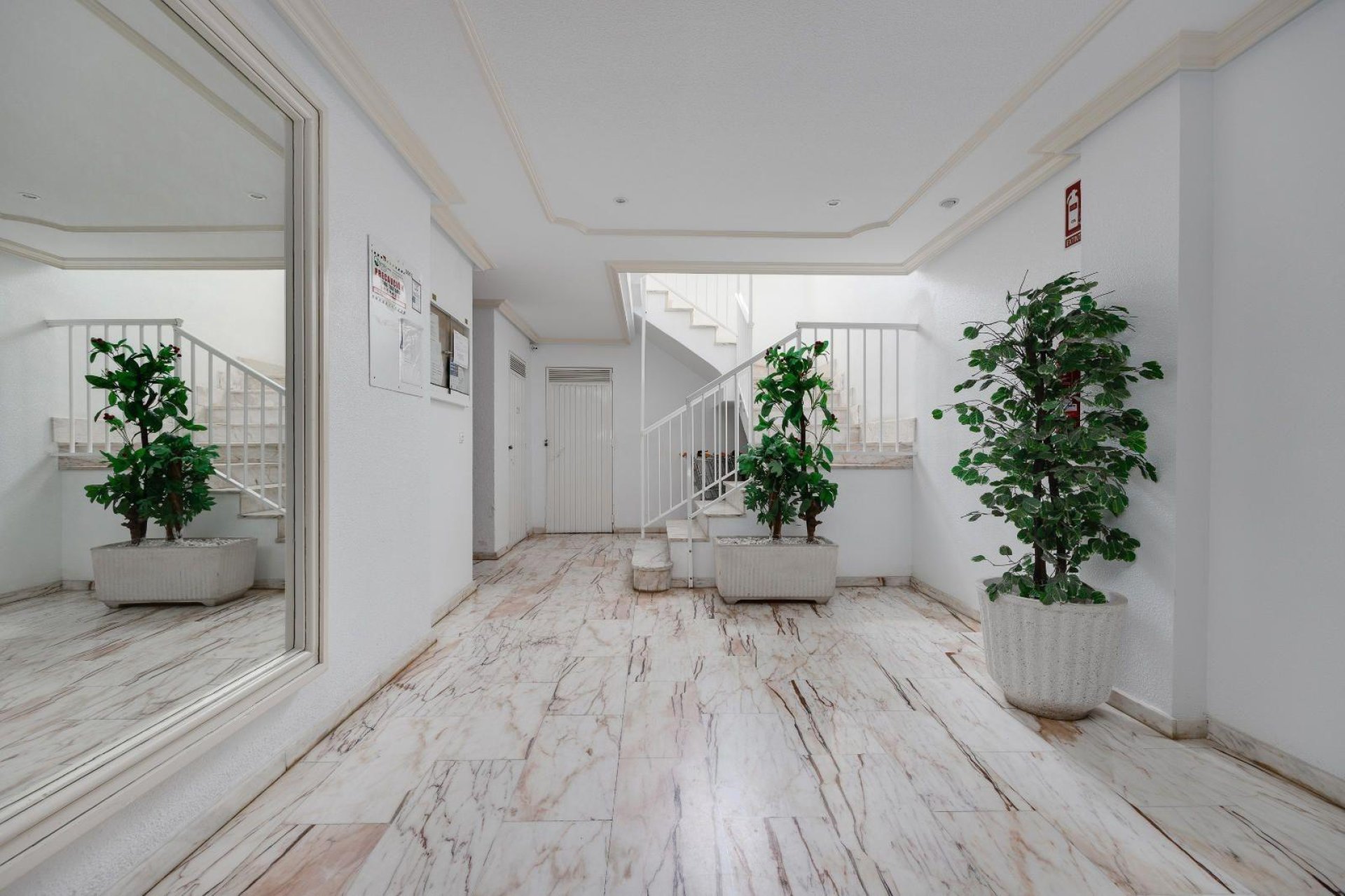 Reventa - Apartamento - Torrevieja - Centro