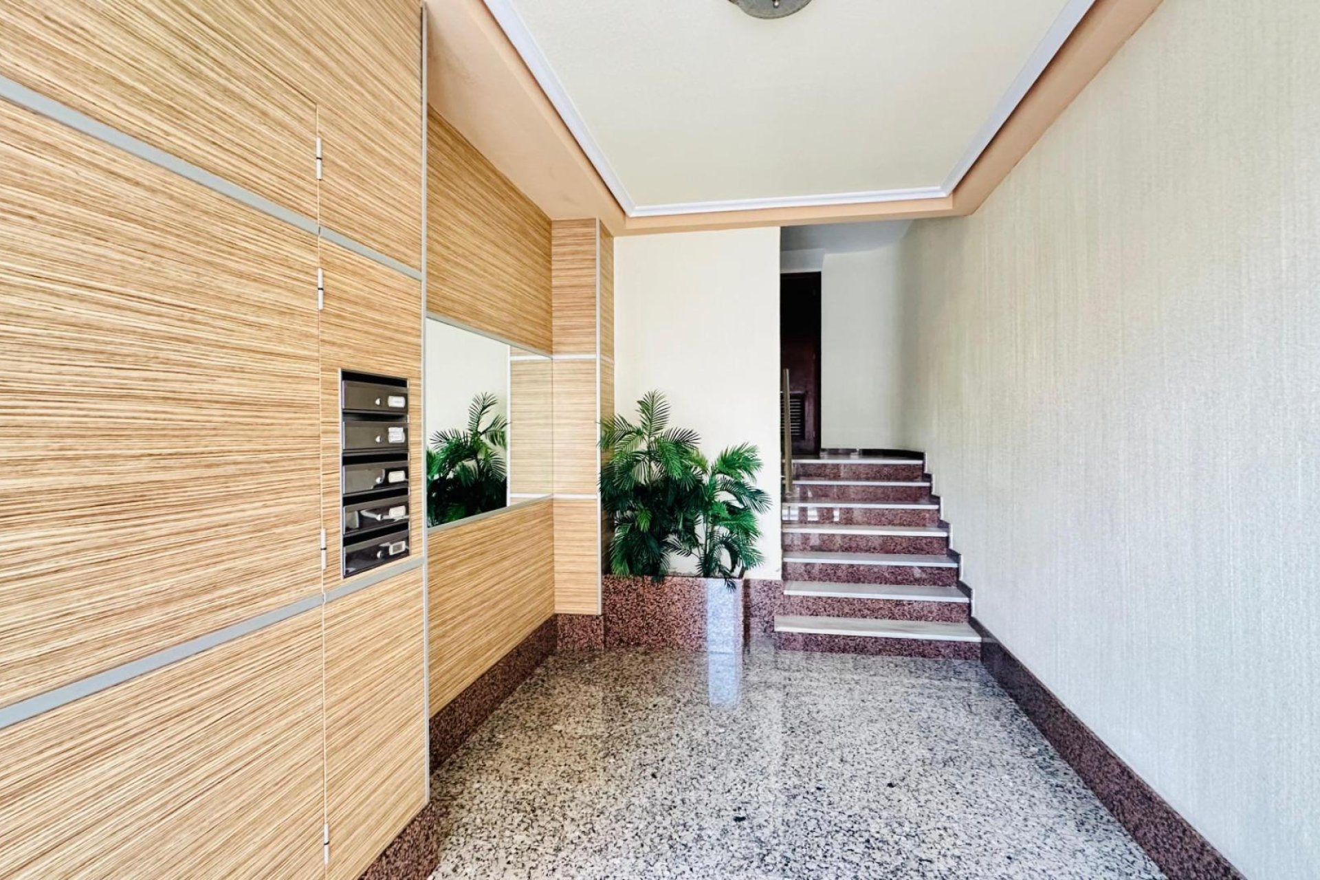 Reventa - Apartamento - Torrevieja - Centro