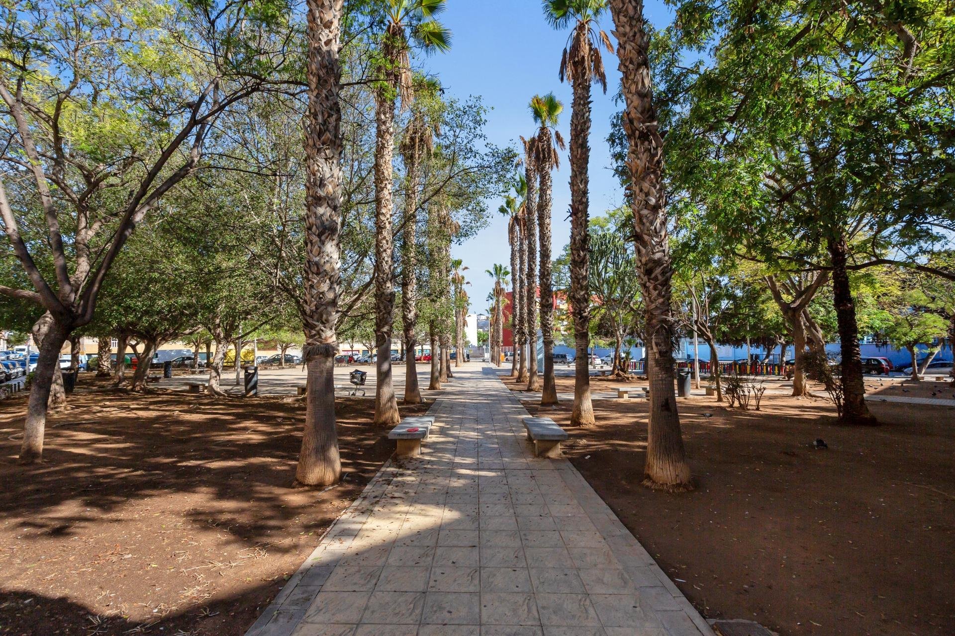 Reventa - Apartamento - Torrevieja - Centro