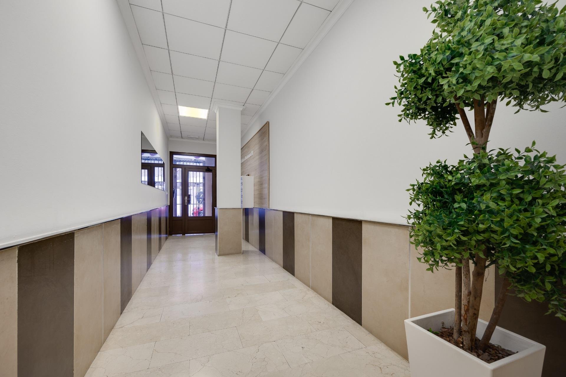 Reventa - Apartamento - Torrevieja - Estacion de autobuses