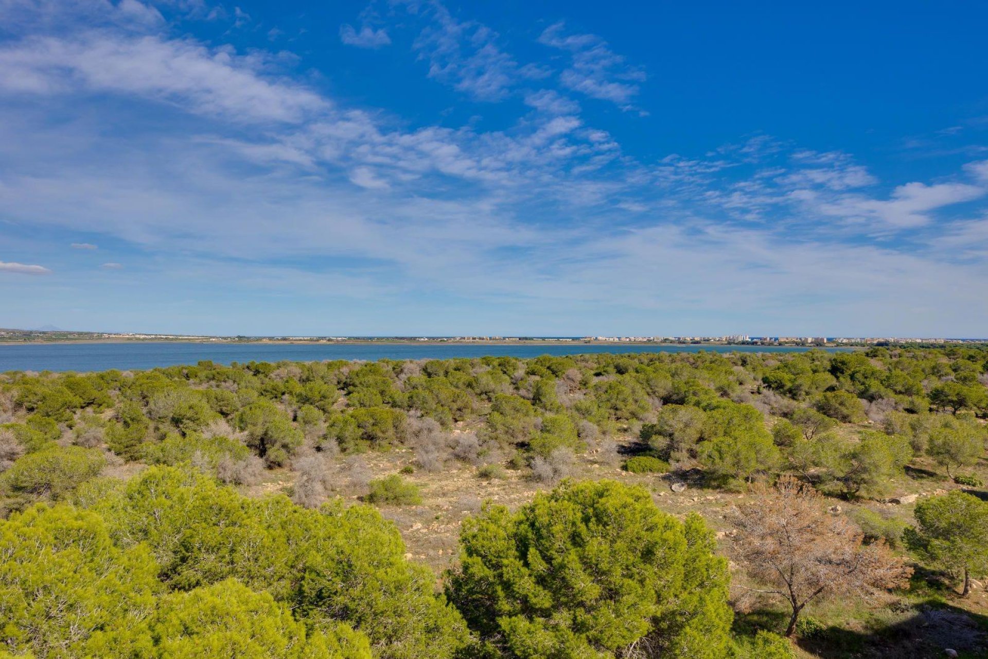 Reventa - Apartamento - Torrevieja - La Siesta - El Salado - Torreta