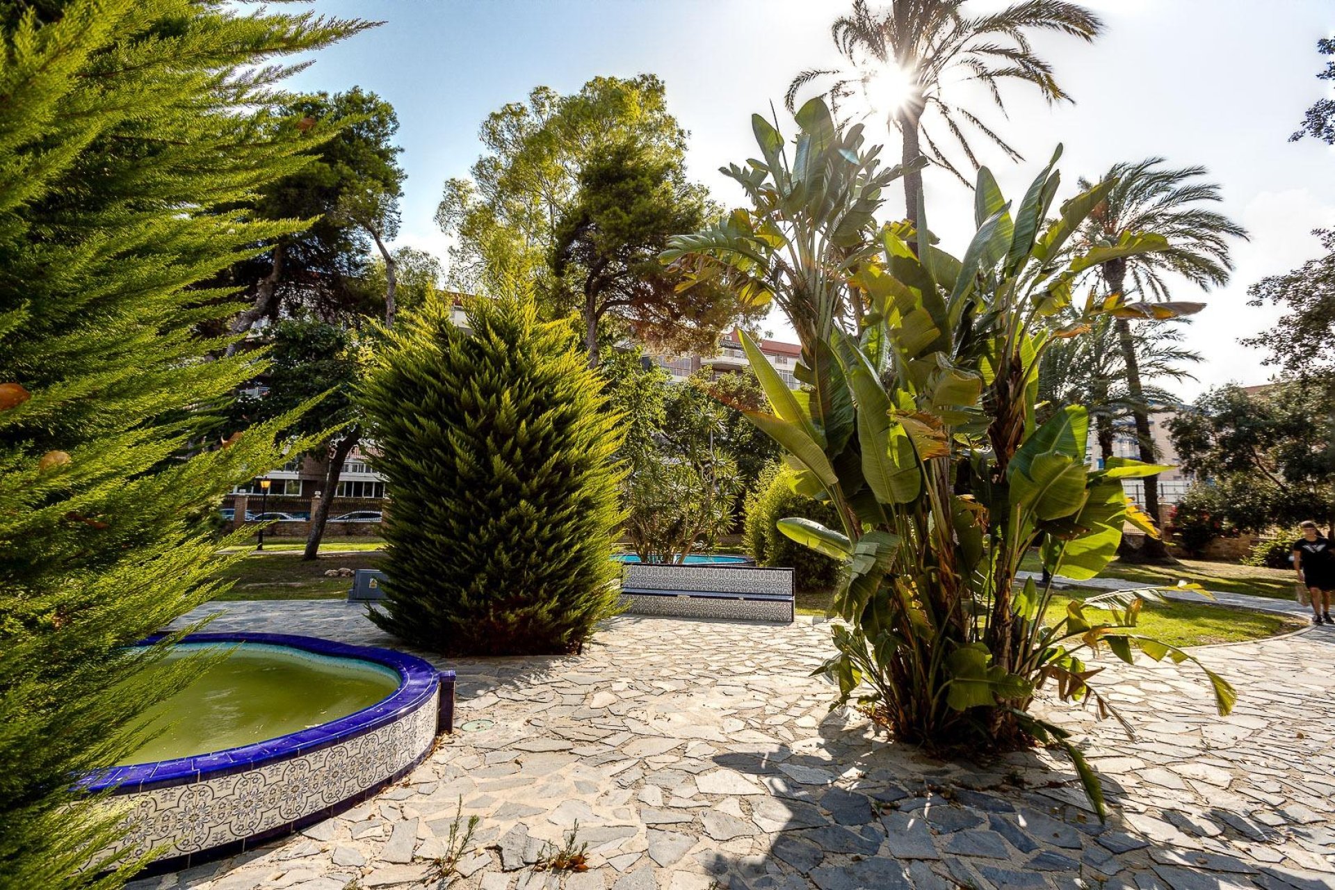 Reventa - Apartamento - Torrevieja - Playa de los Naufragos