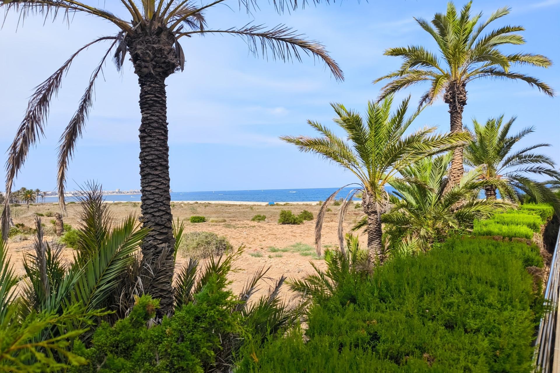 Reventa - Apartamento - Torrevieja - Punta prima