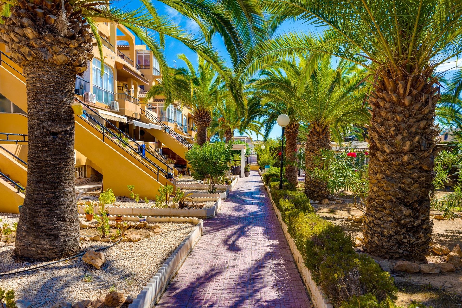 Reventa - Apartamento - Torrevieja - Torreblanca